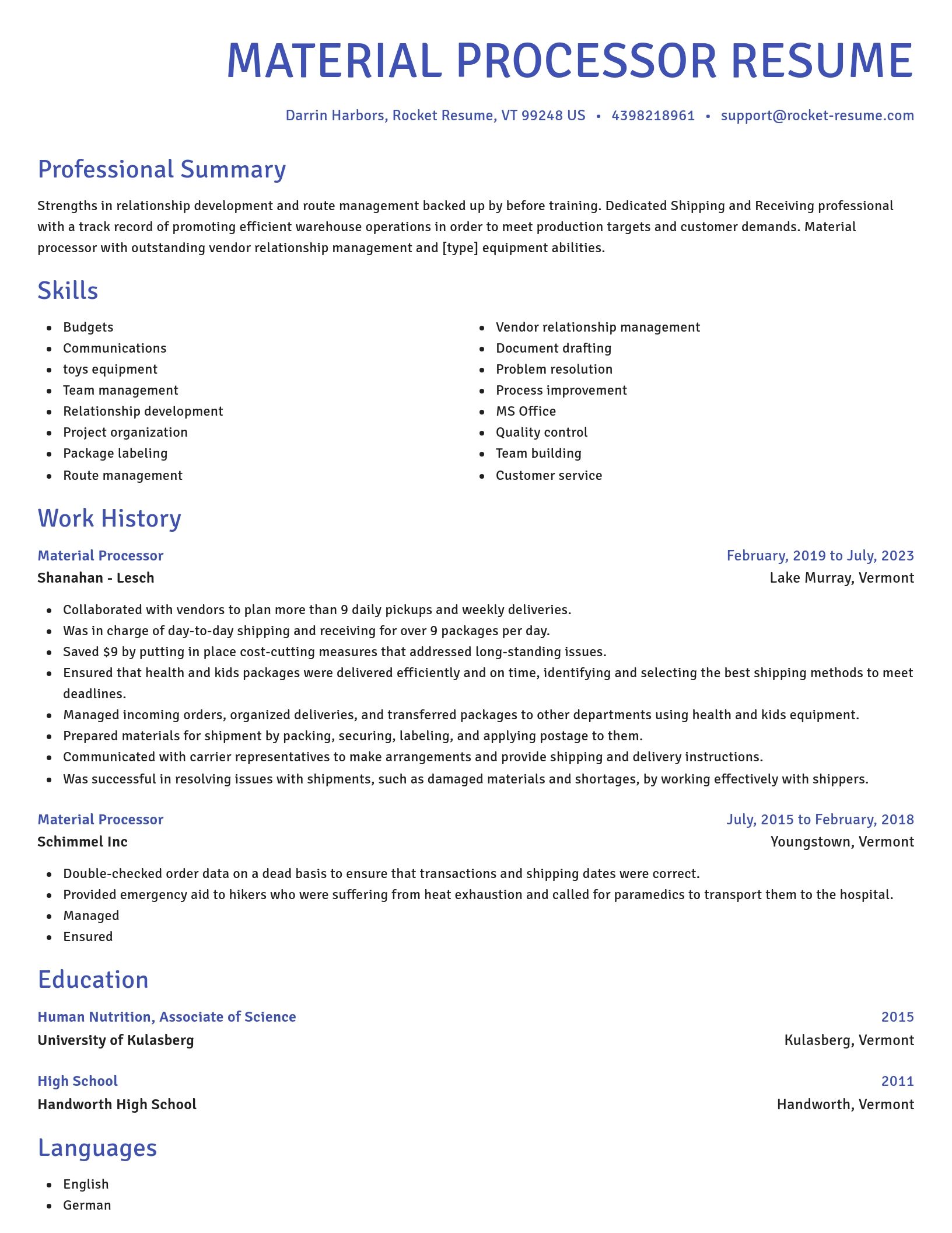 Novel resume template
