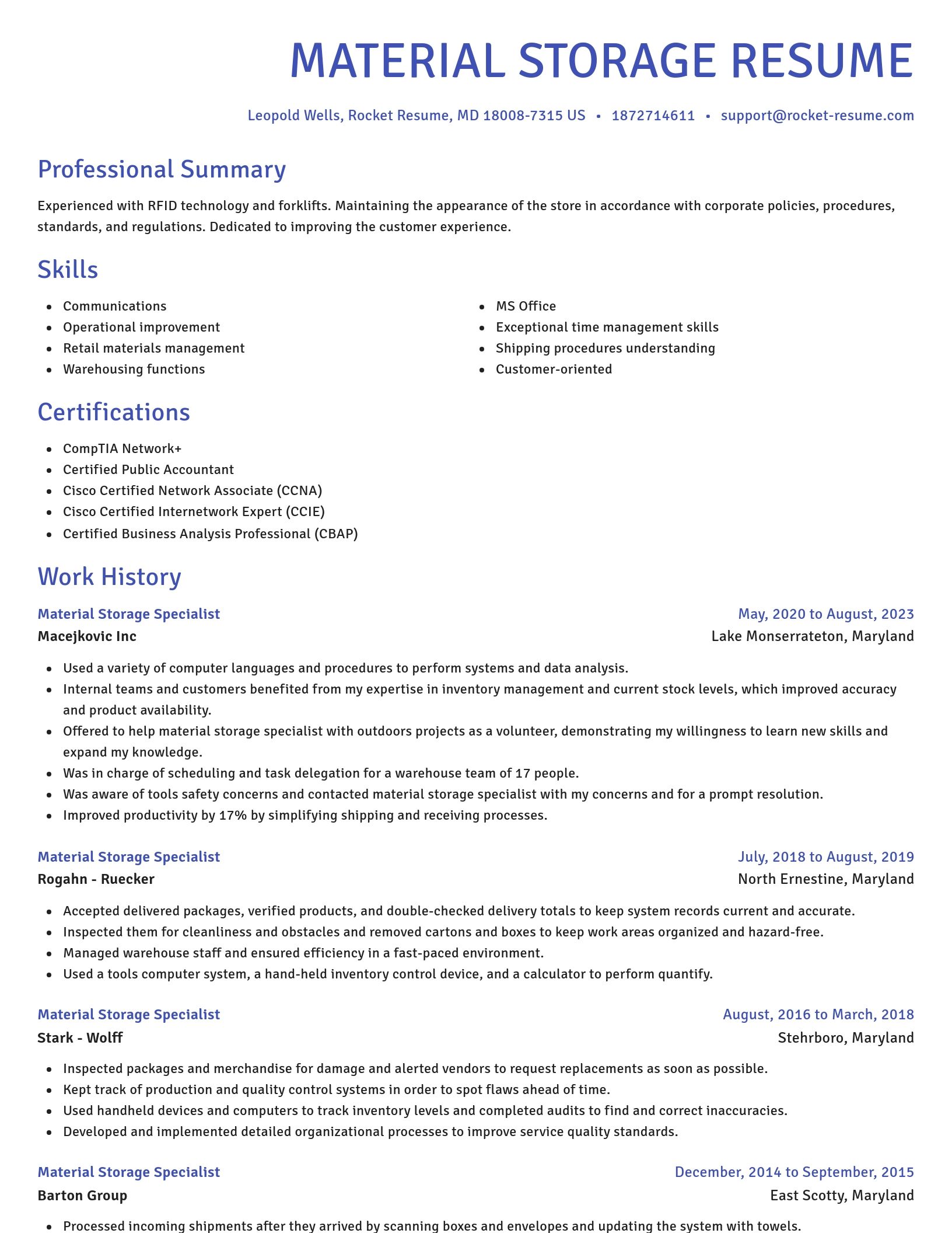 Novel resume template