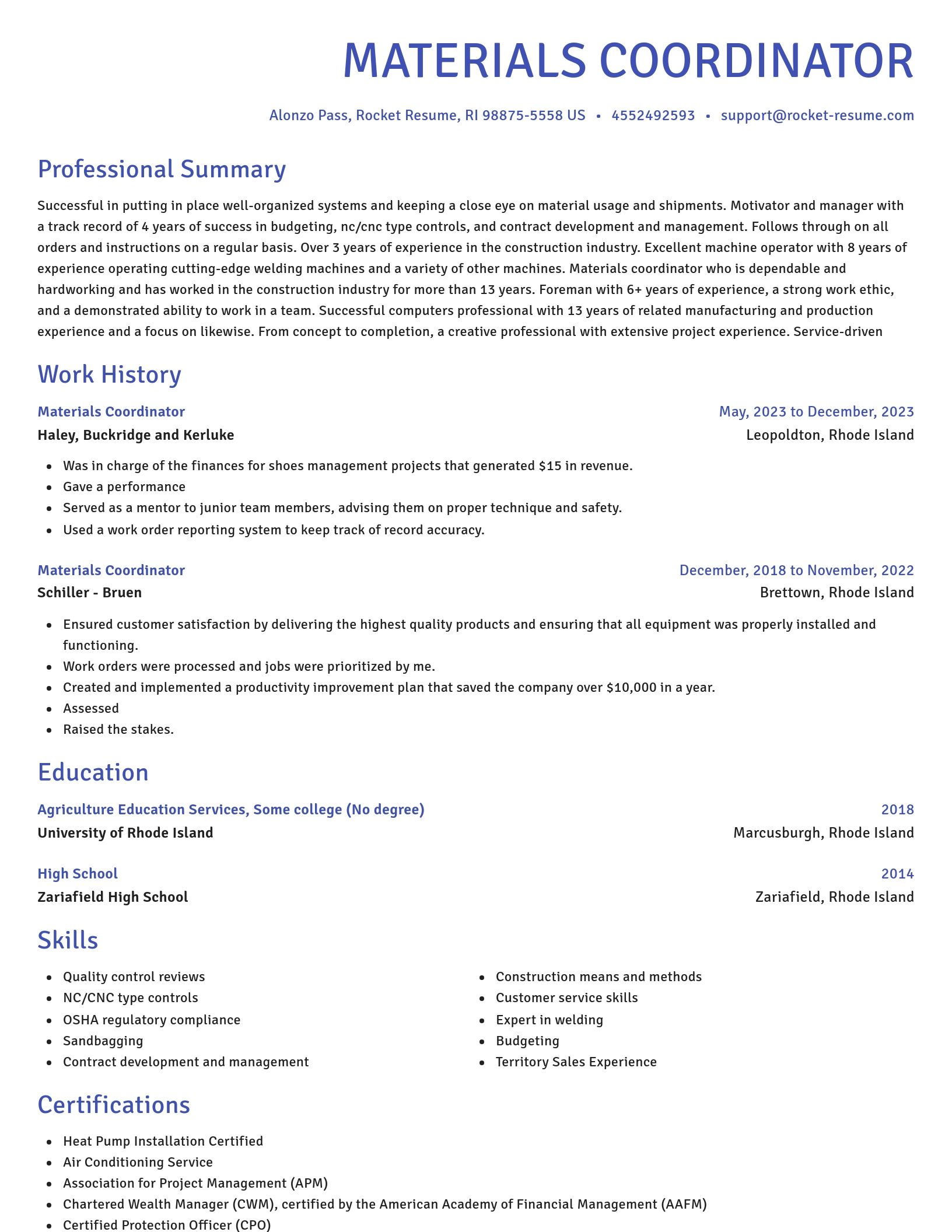 Novel resume template