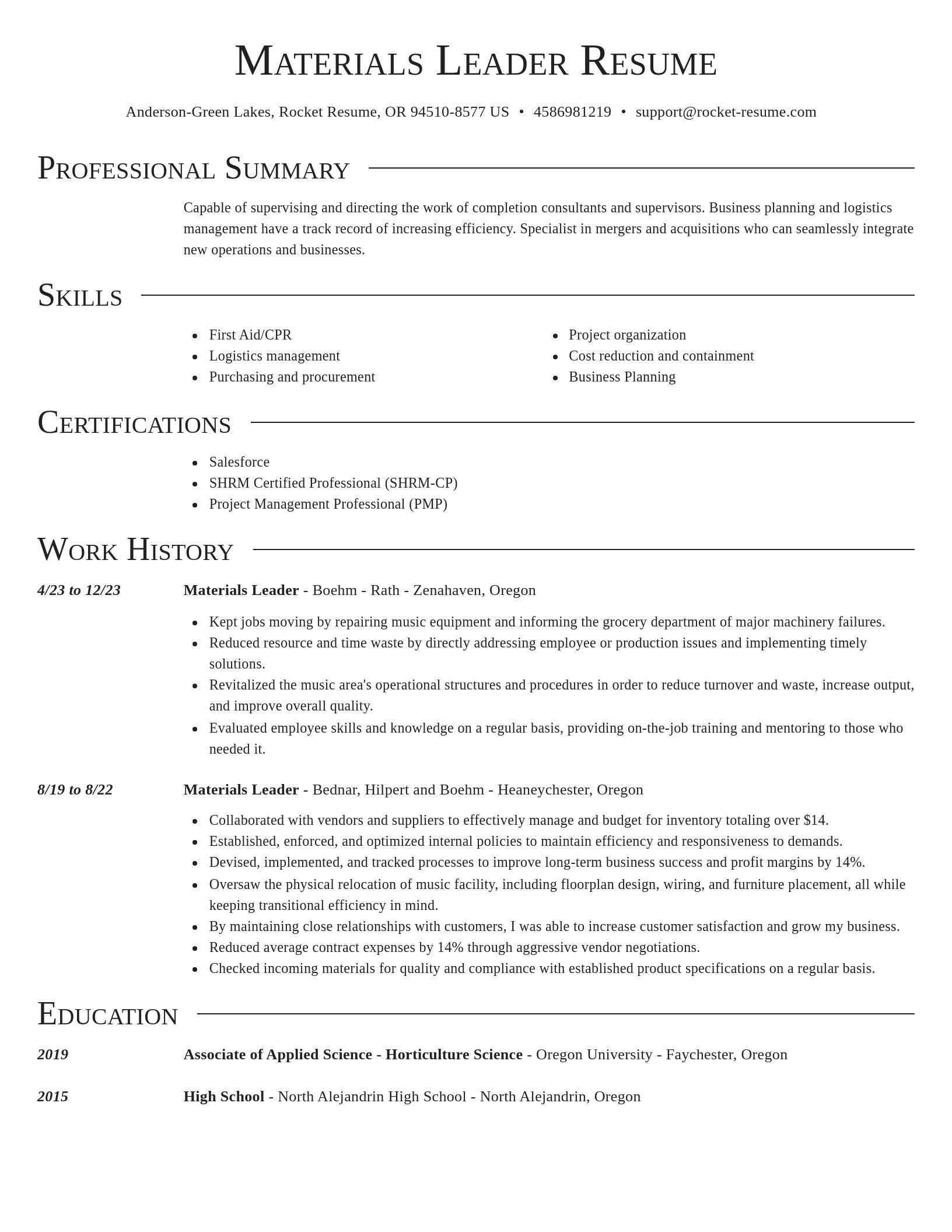 Director resume template