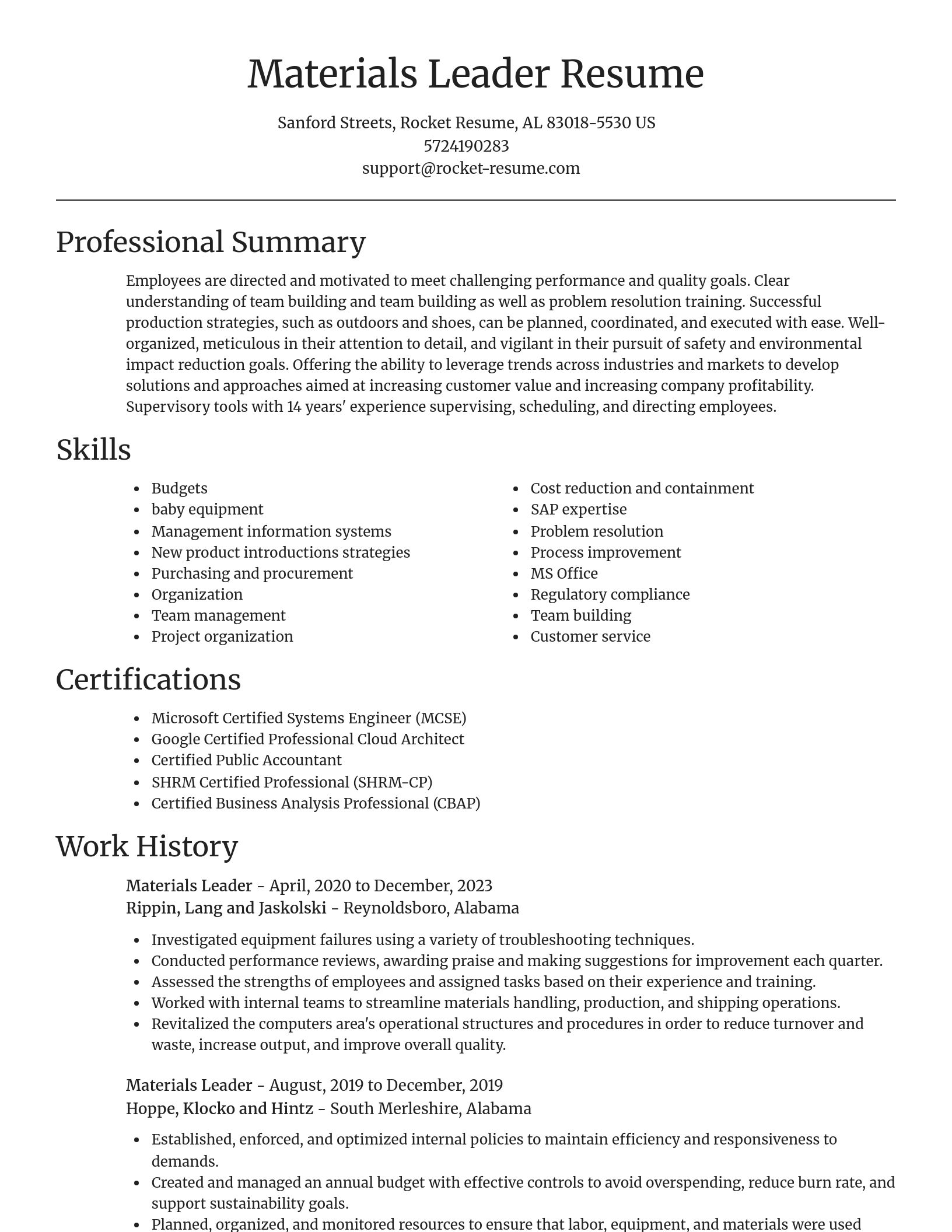 Focal Point resume template