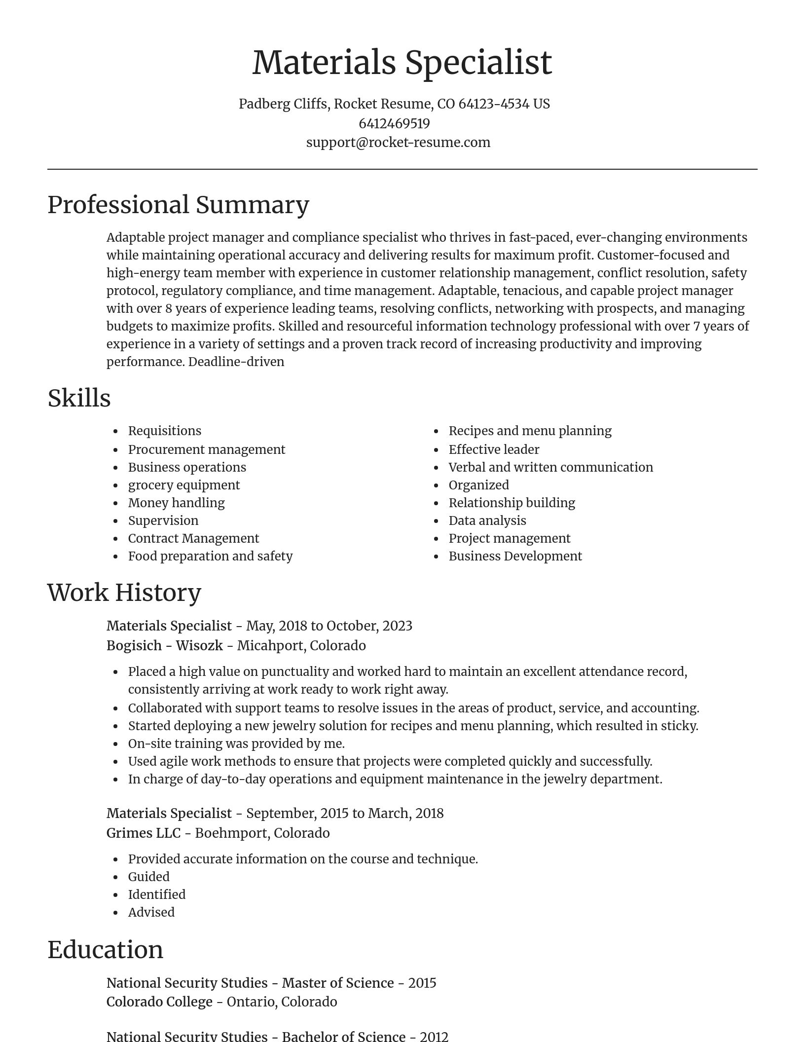 Focal Point resume template