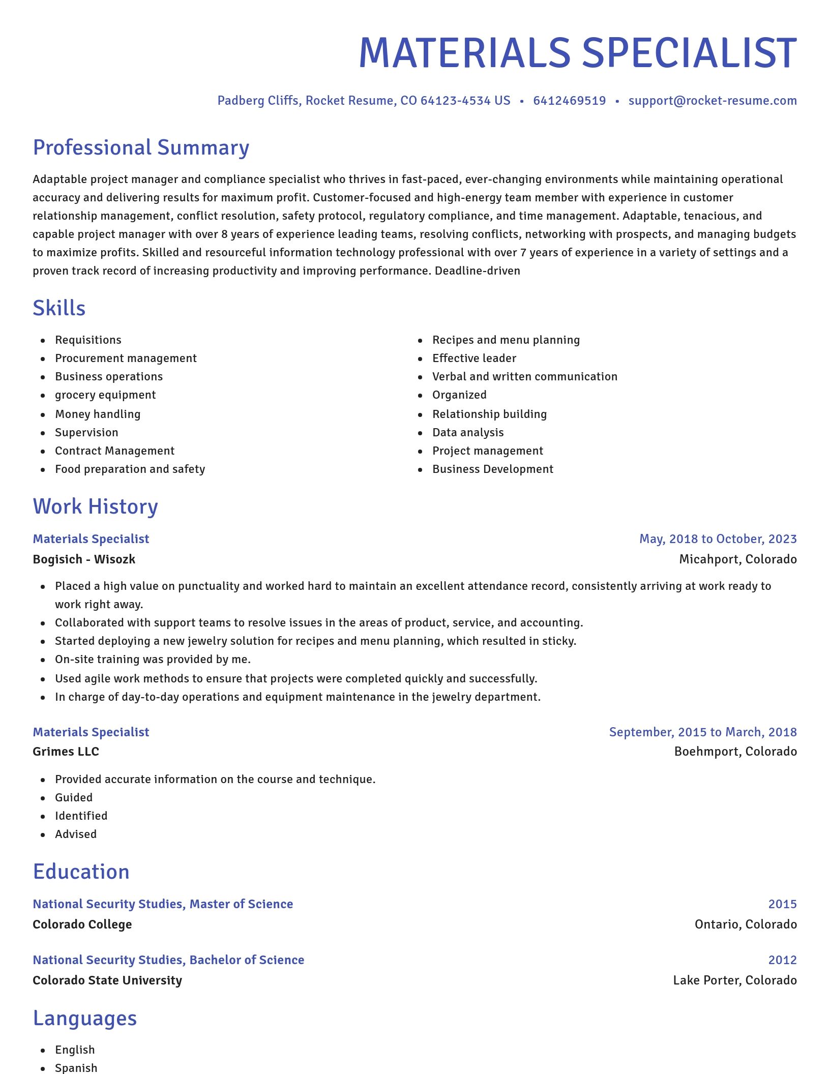 Novel resume template