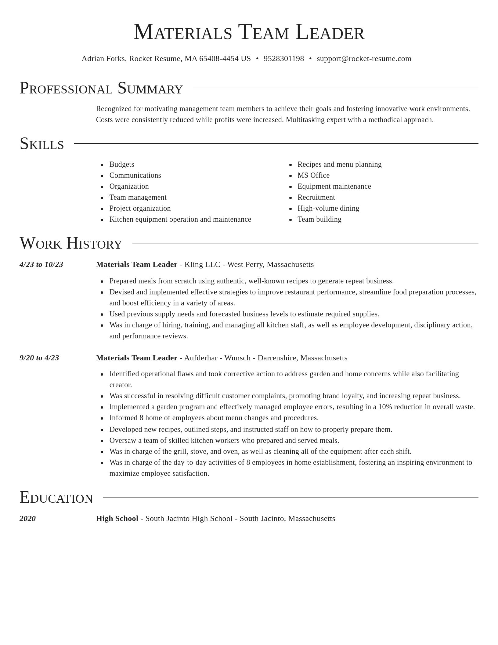 Director resume template