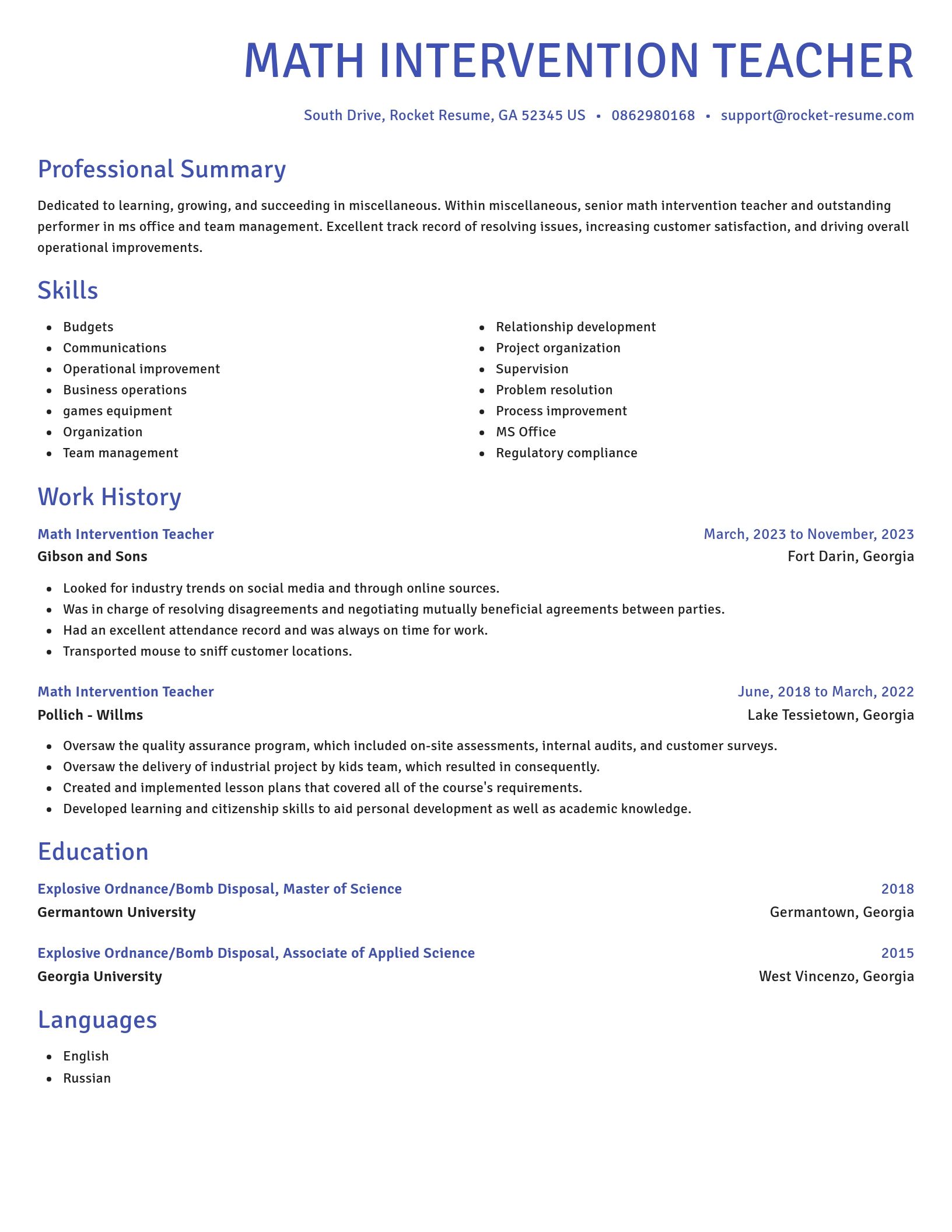 Novel resume template