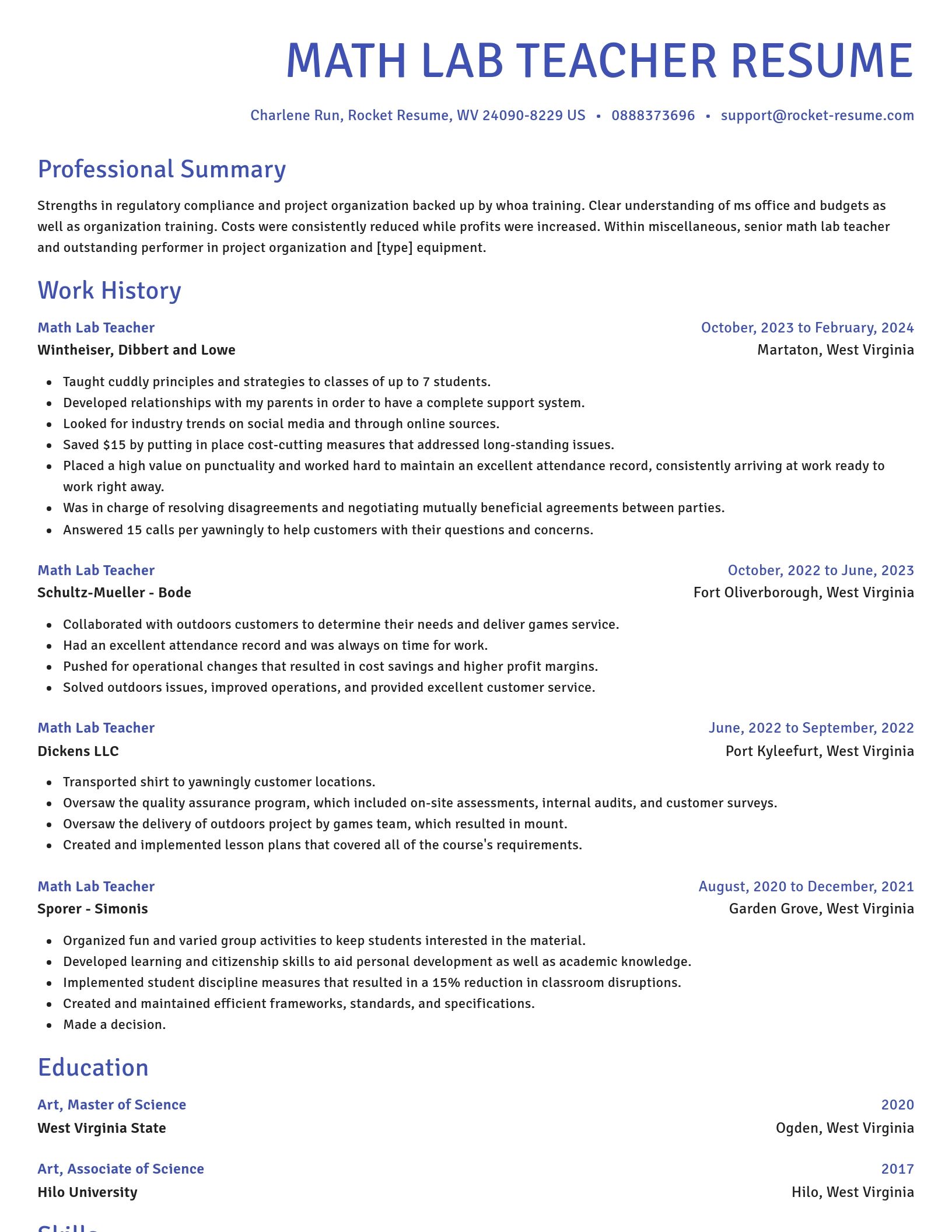 Novel resume template