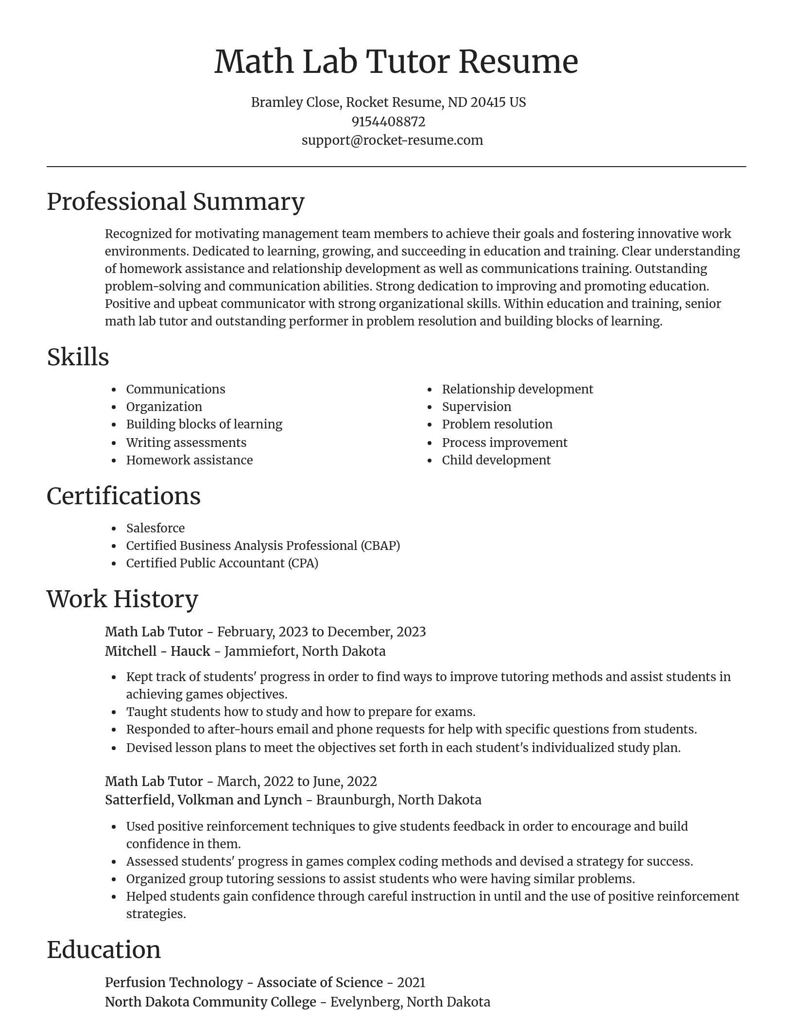 Focal Point resume template
