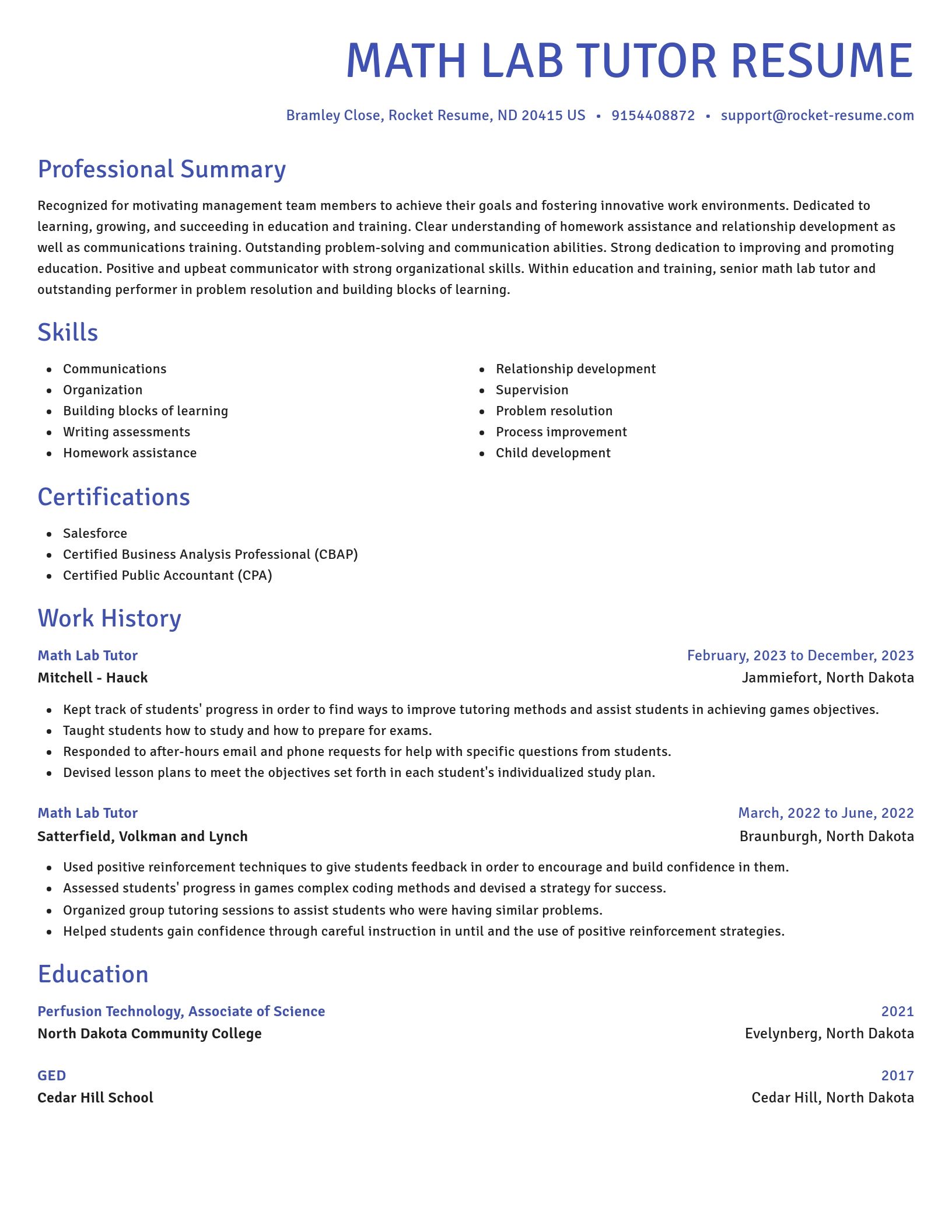 Novel resume template