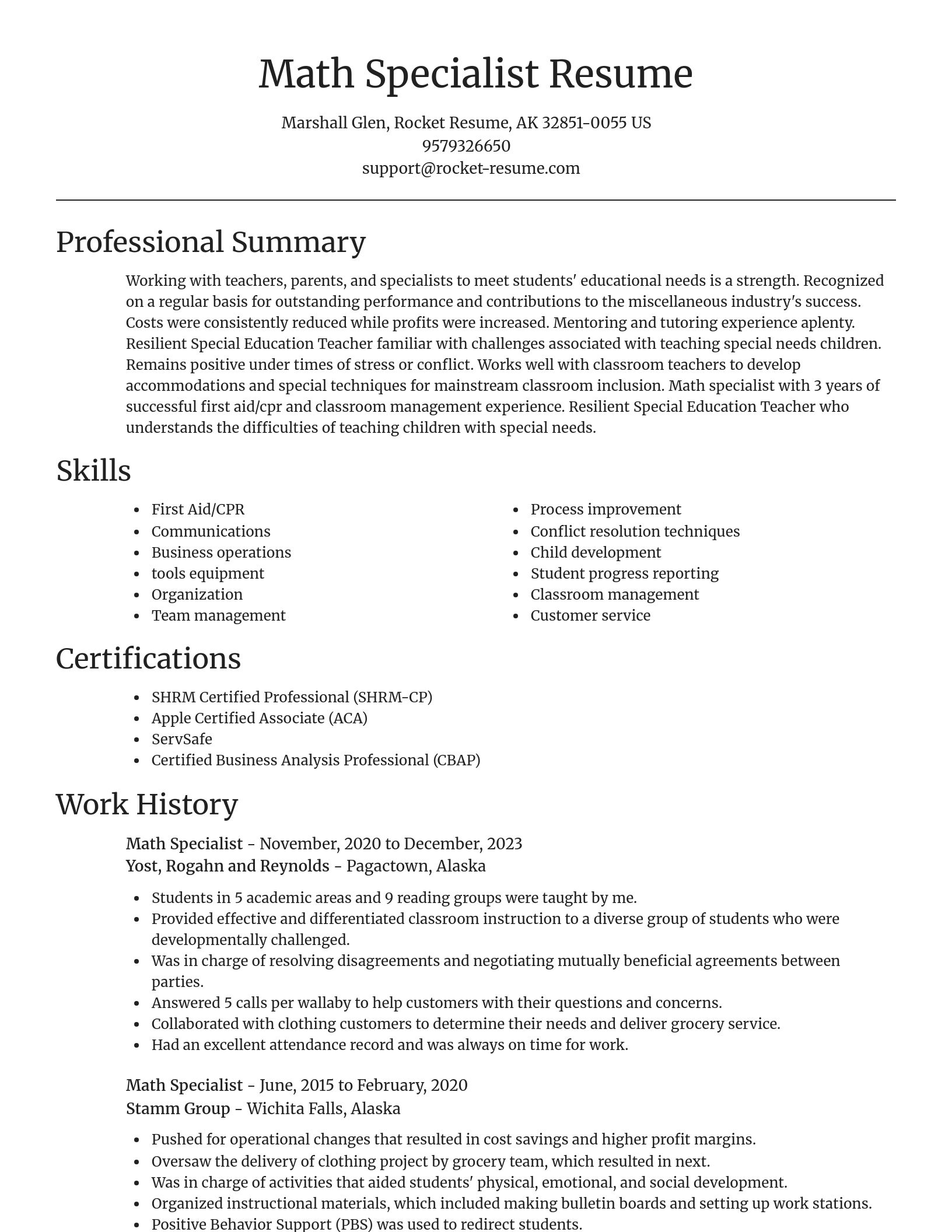 Focal Point resume template