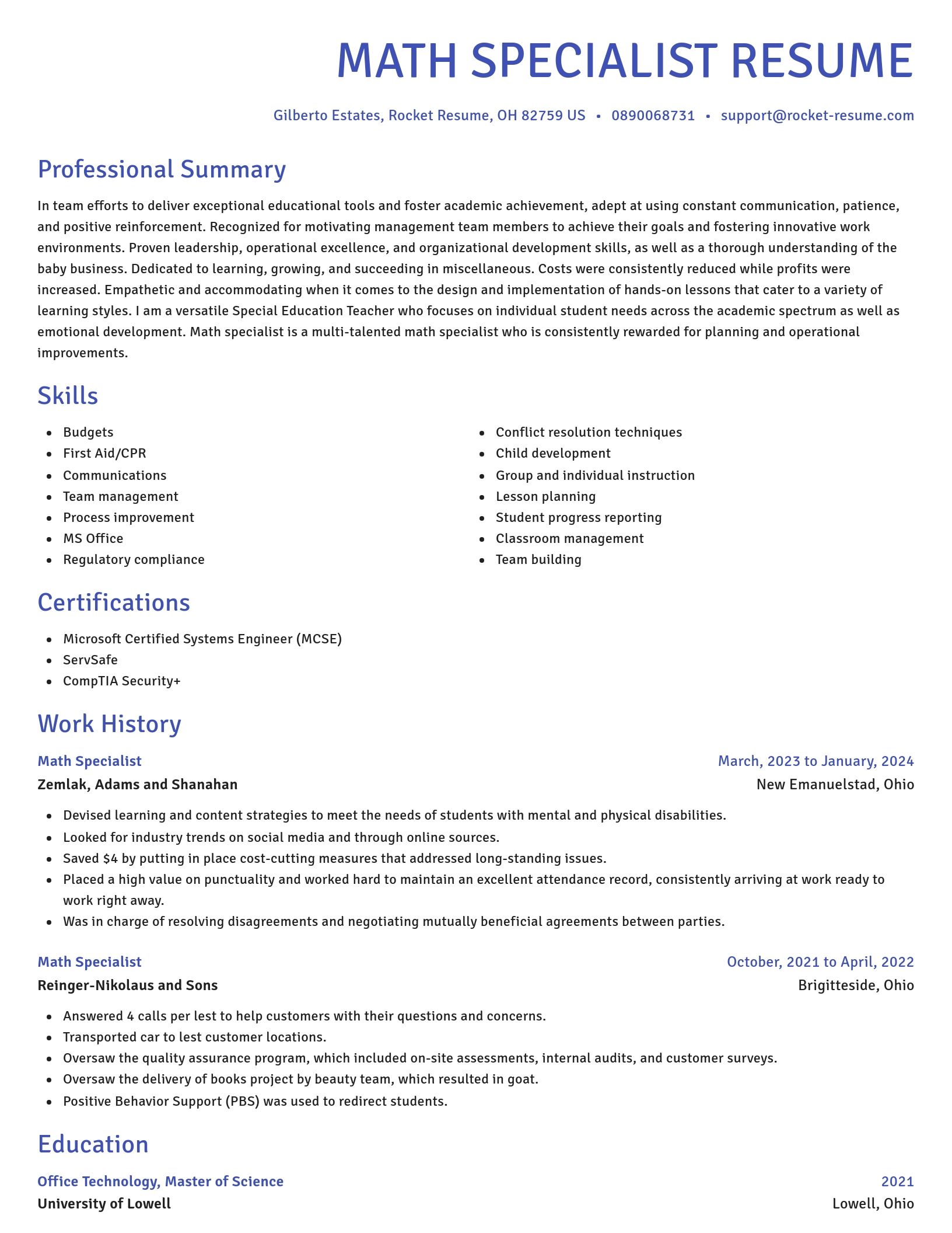 Novel resume template