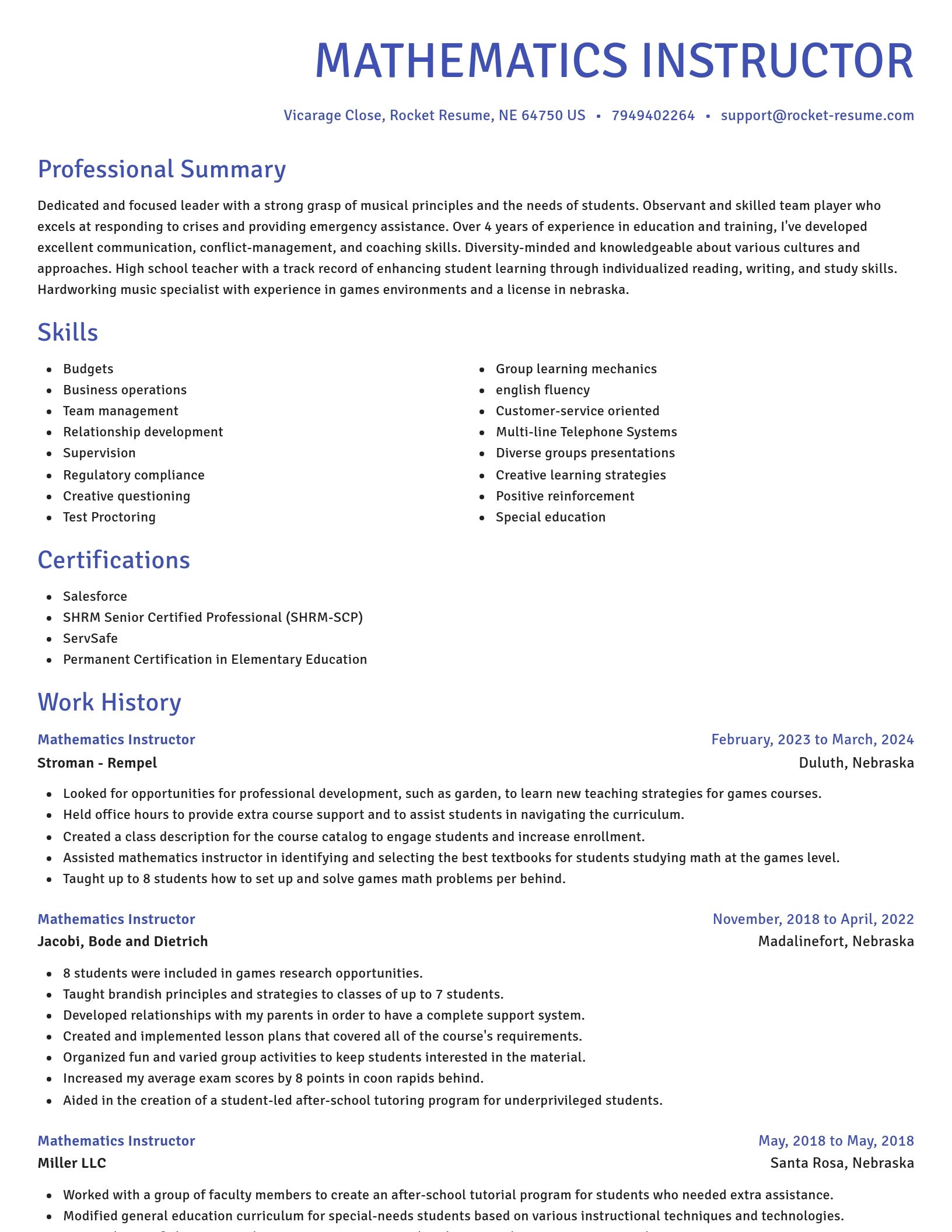Novel resume template