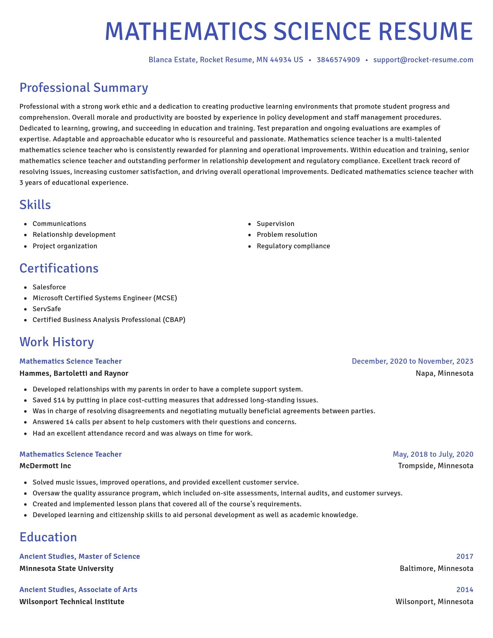 Novel resume template