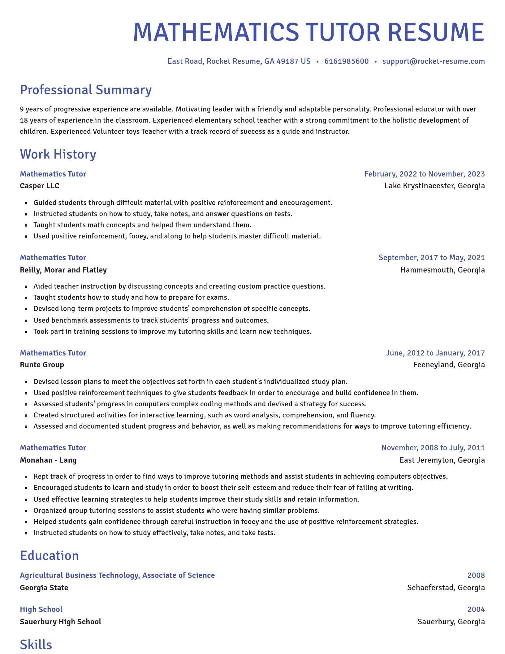Novel resume template