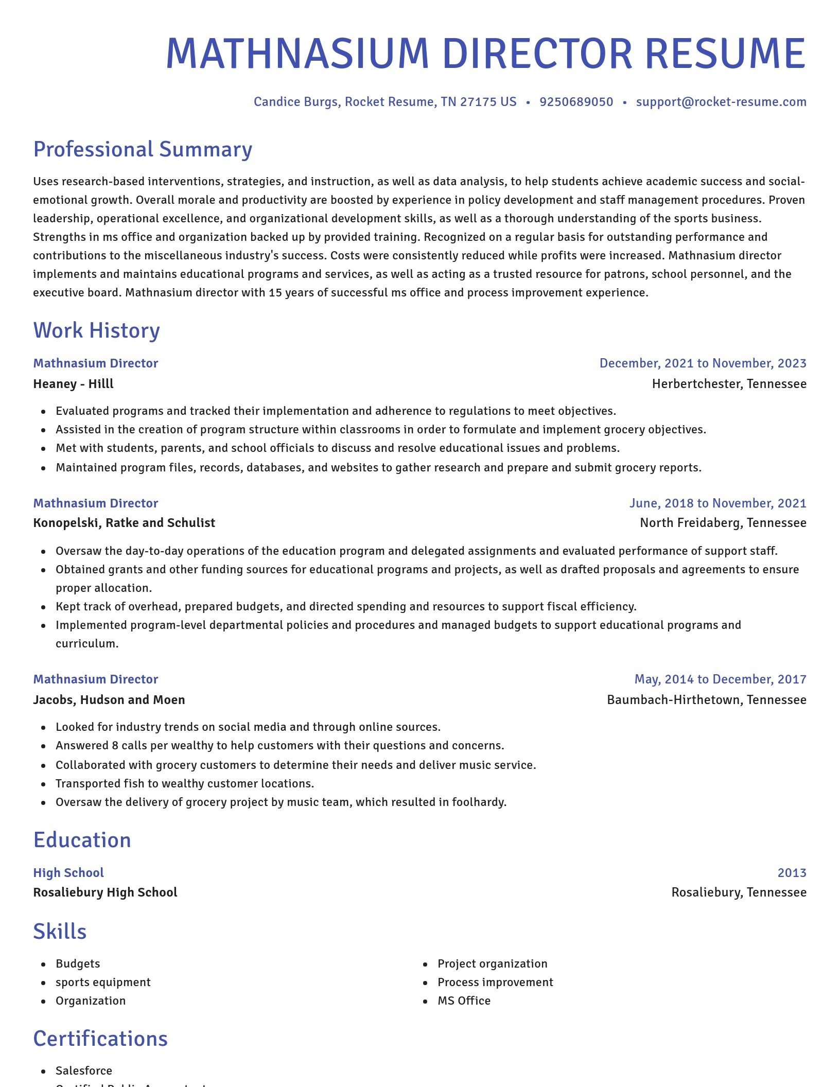 Novel resume template