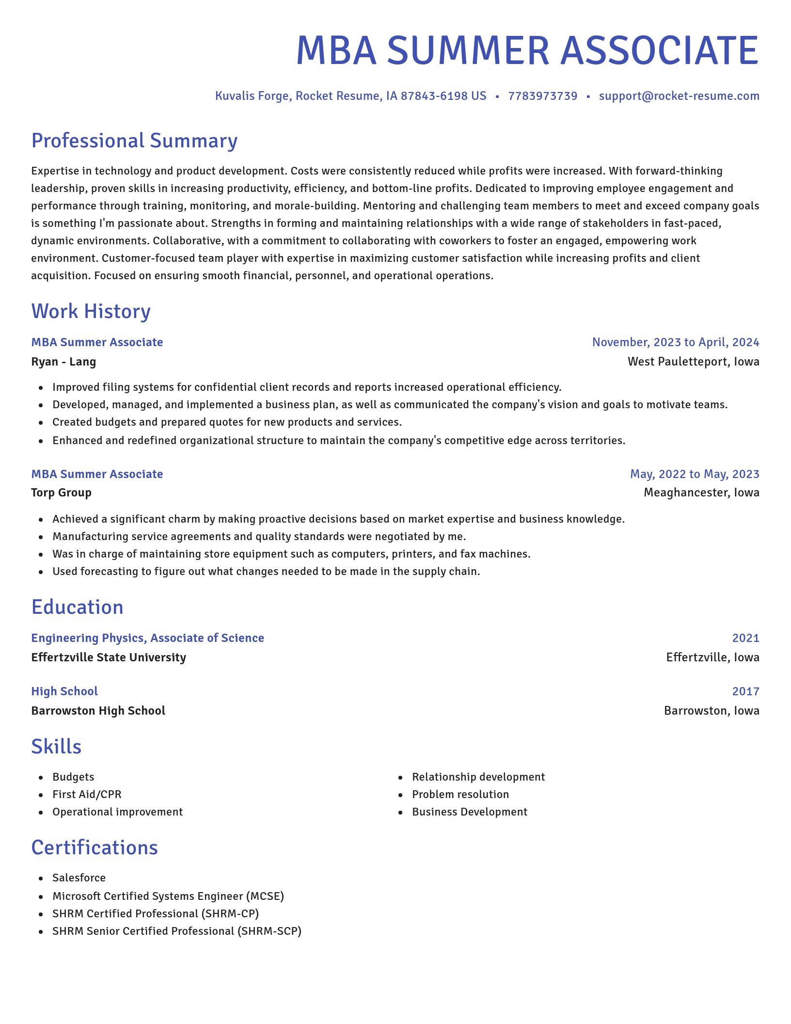 Novel resume template