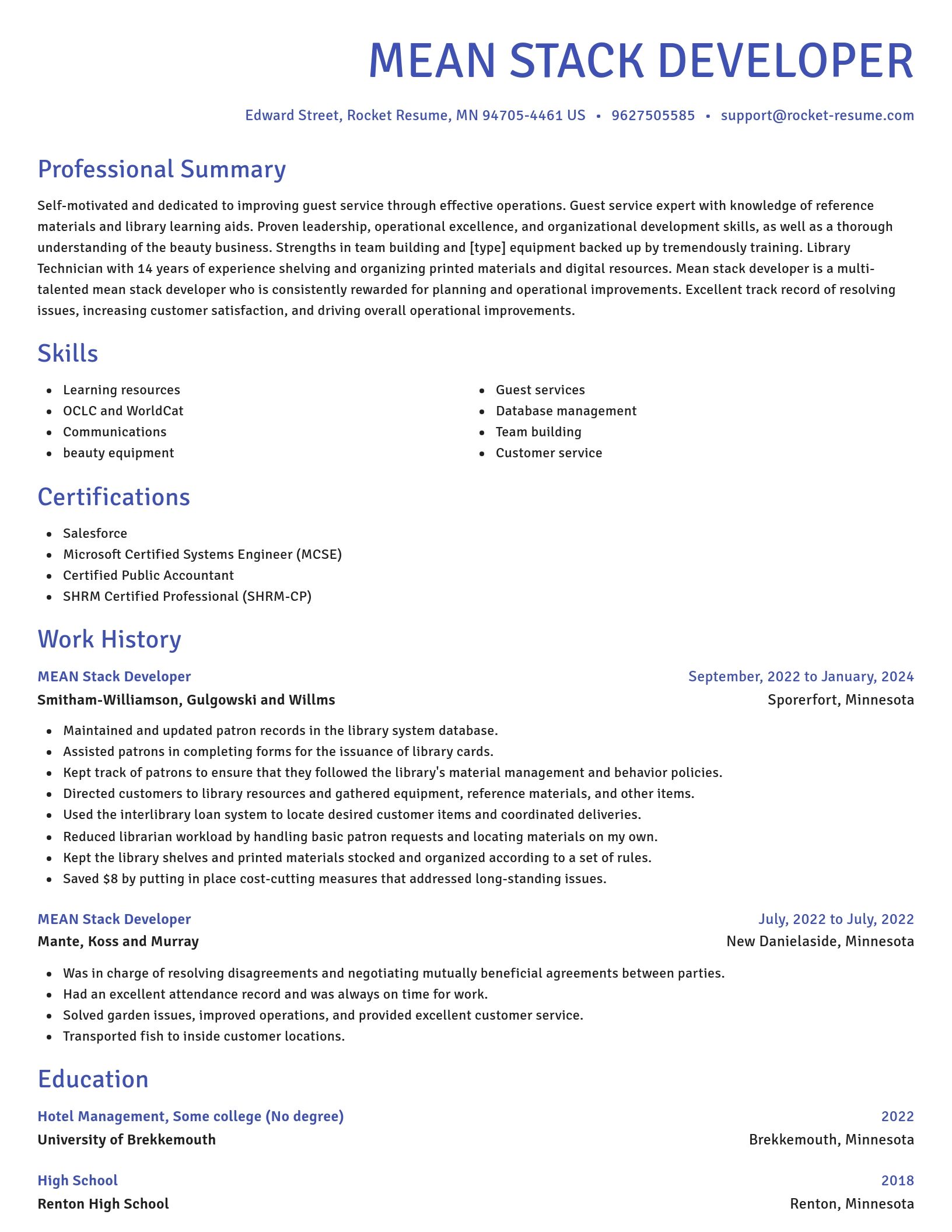 Novel resume template