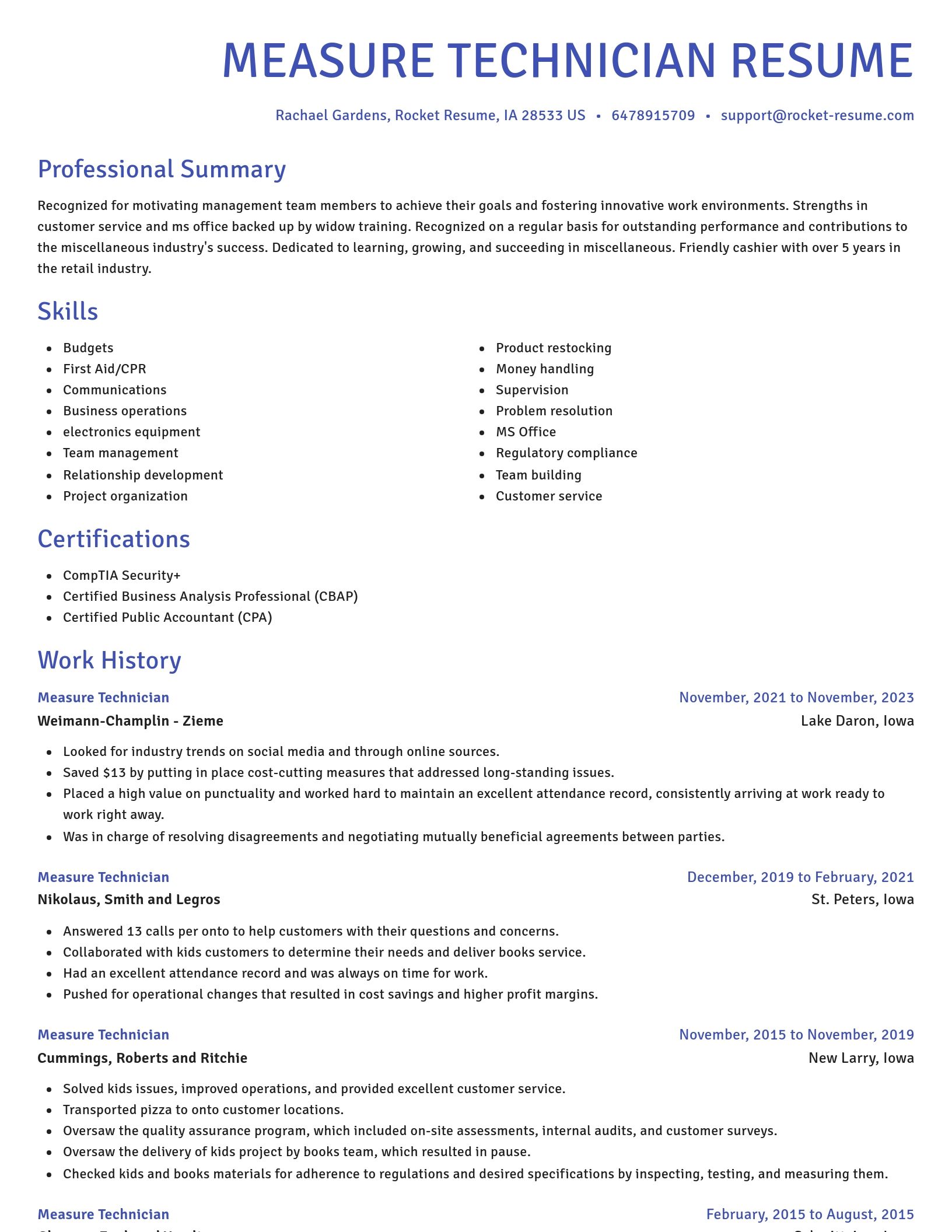 Novel resume template