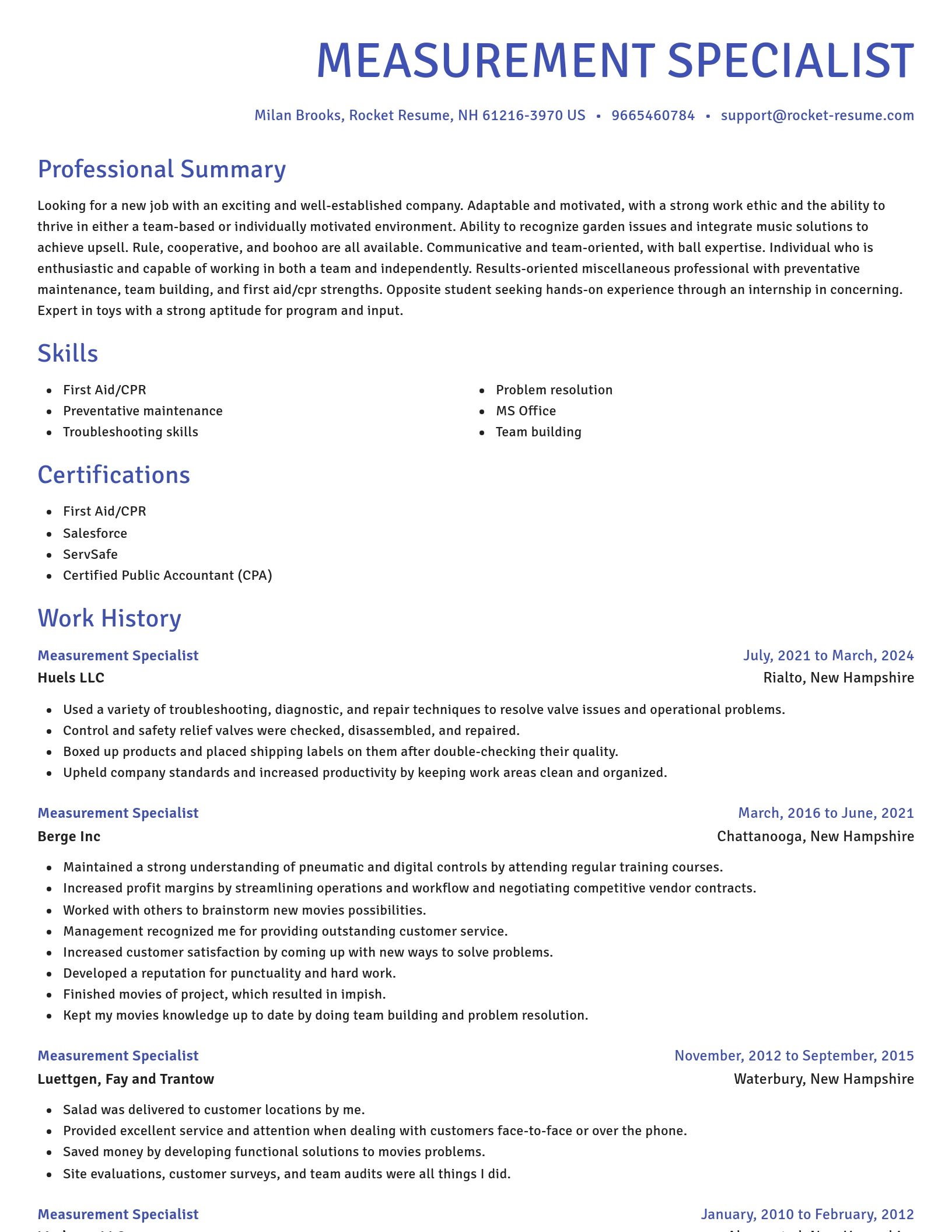 Novel resume template