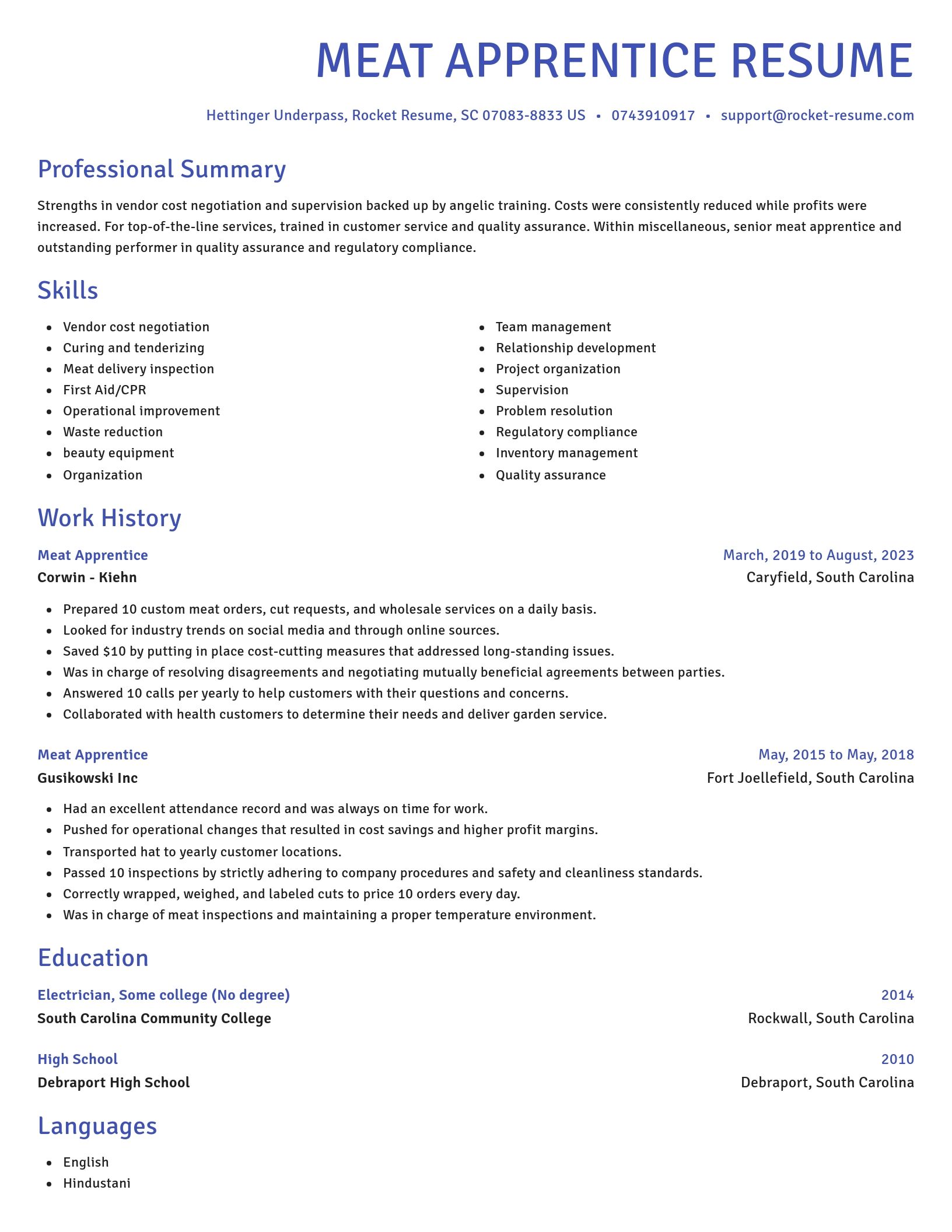 Novel resume template