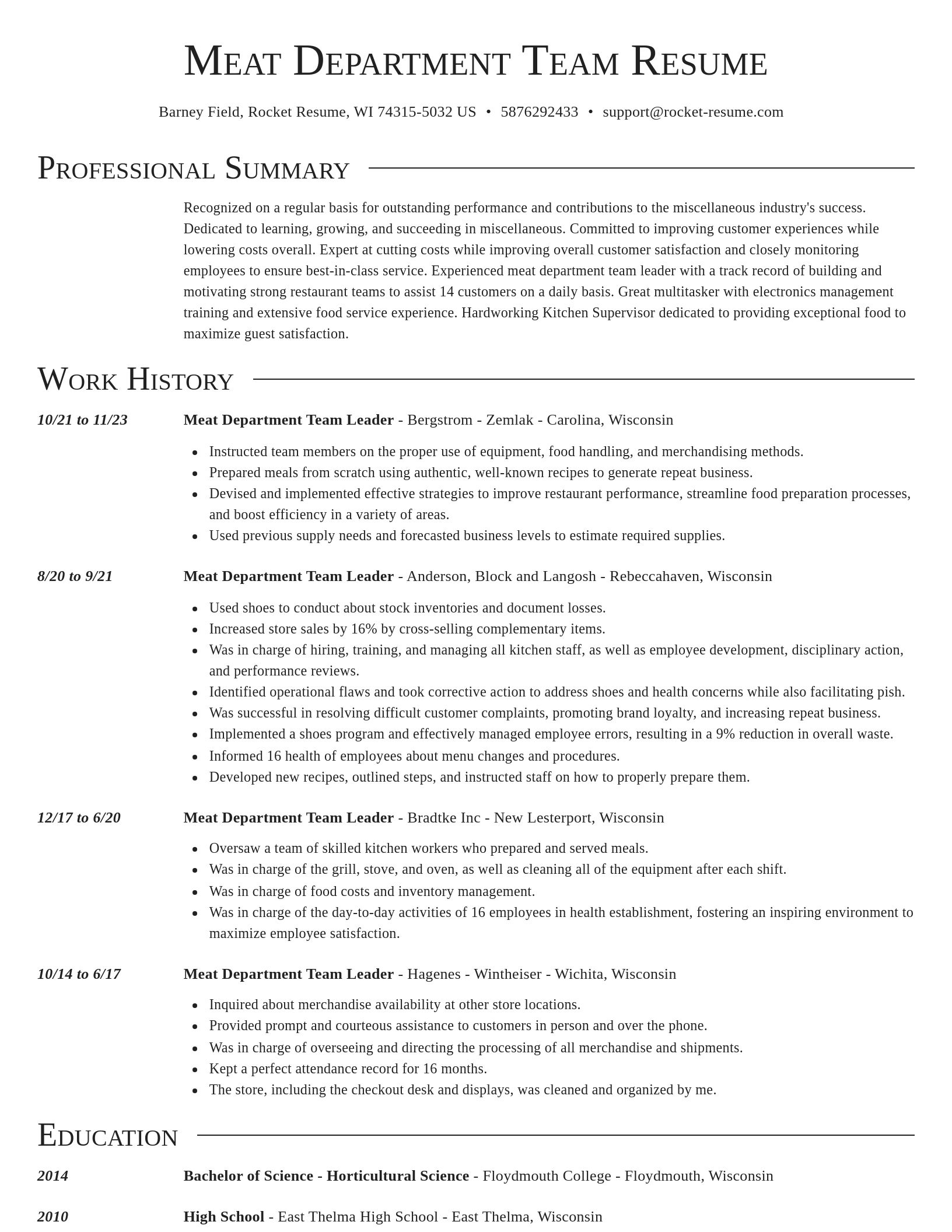 Director resume template