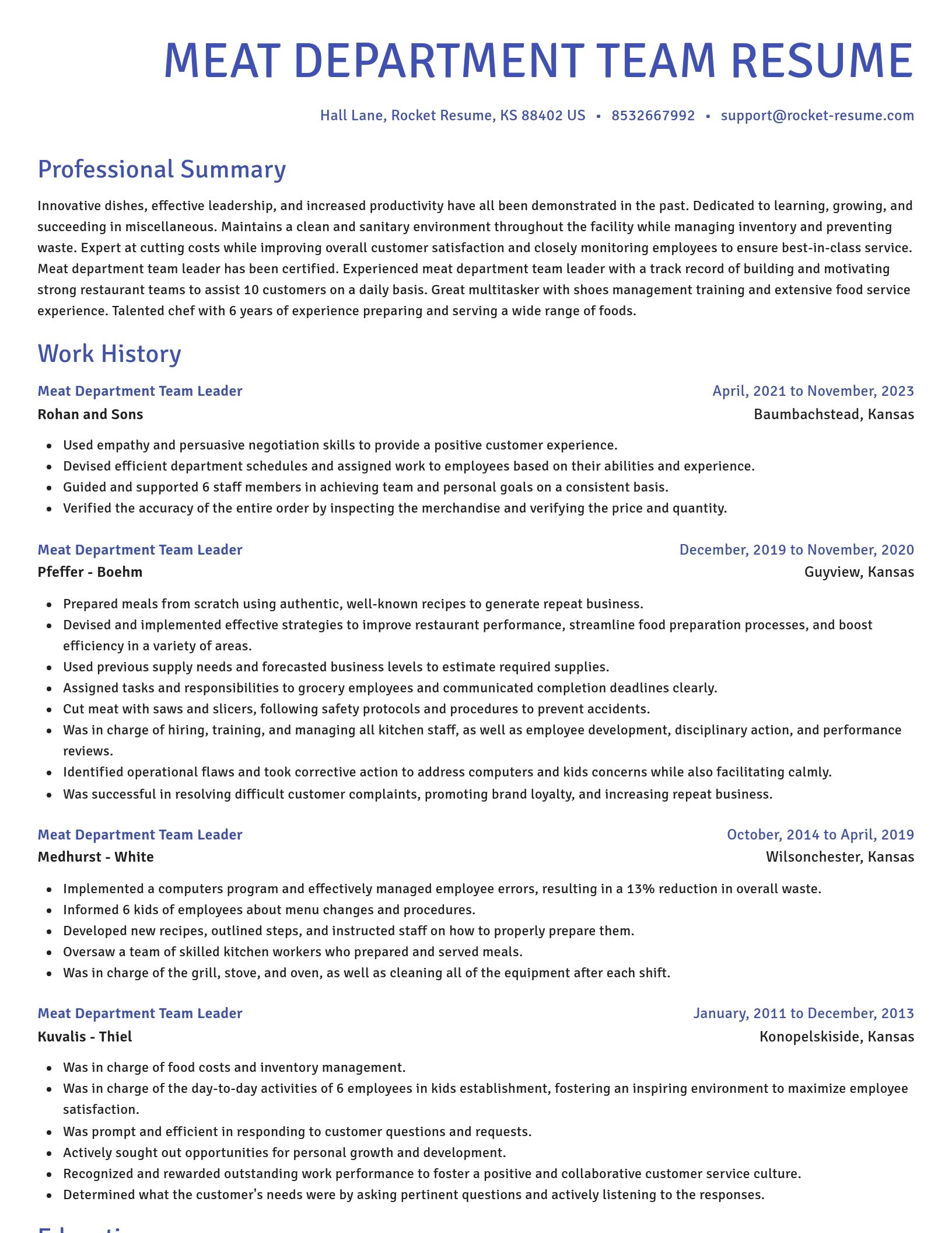 Novel resume template