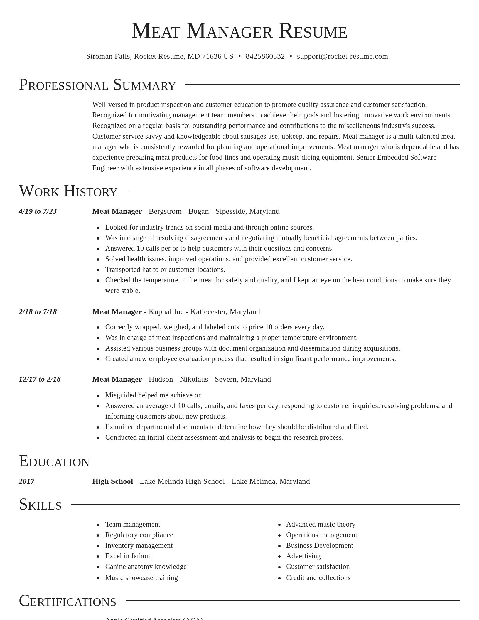 Director resume template