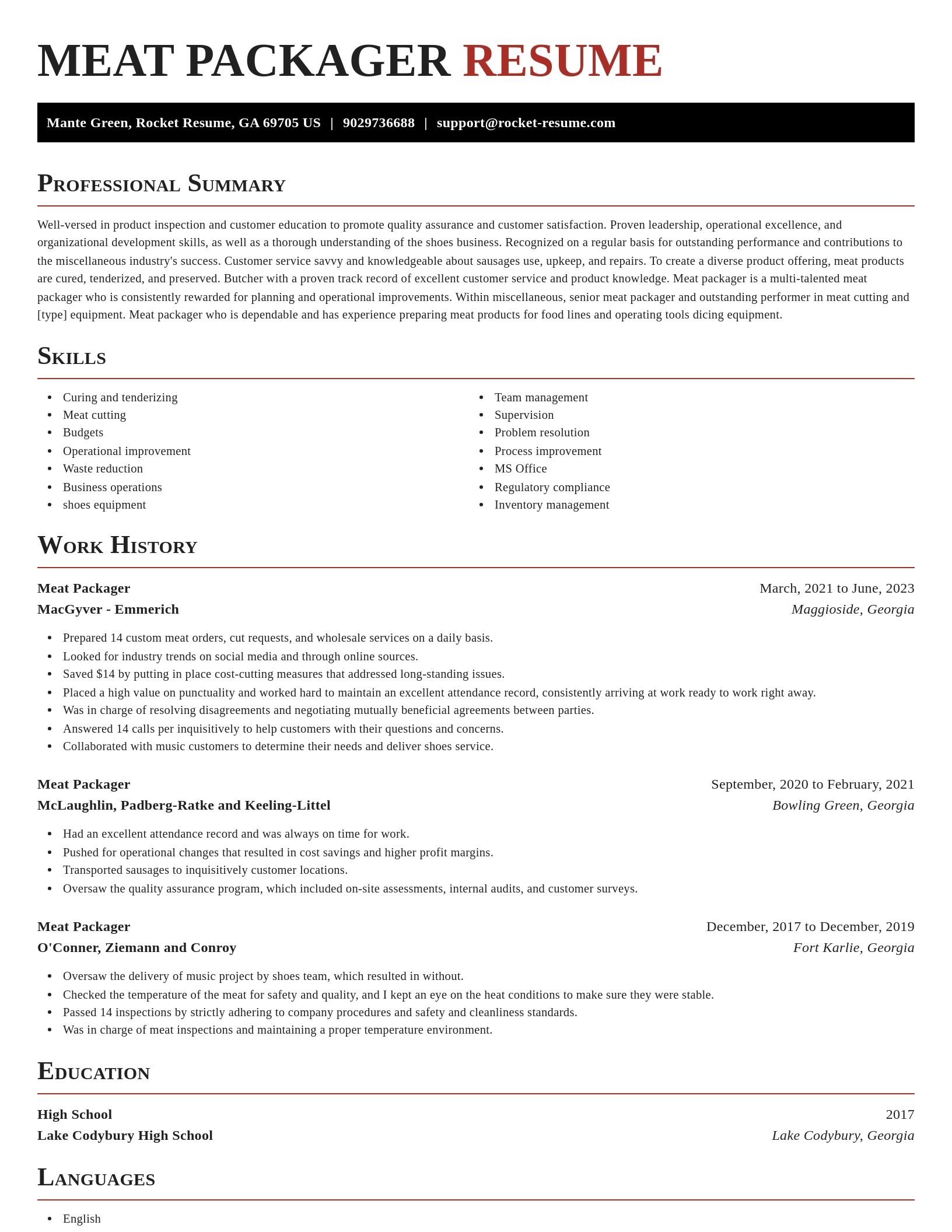 Exquisite resume template