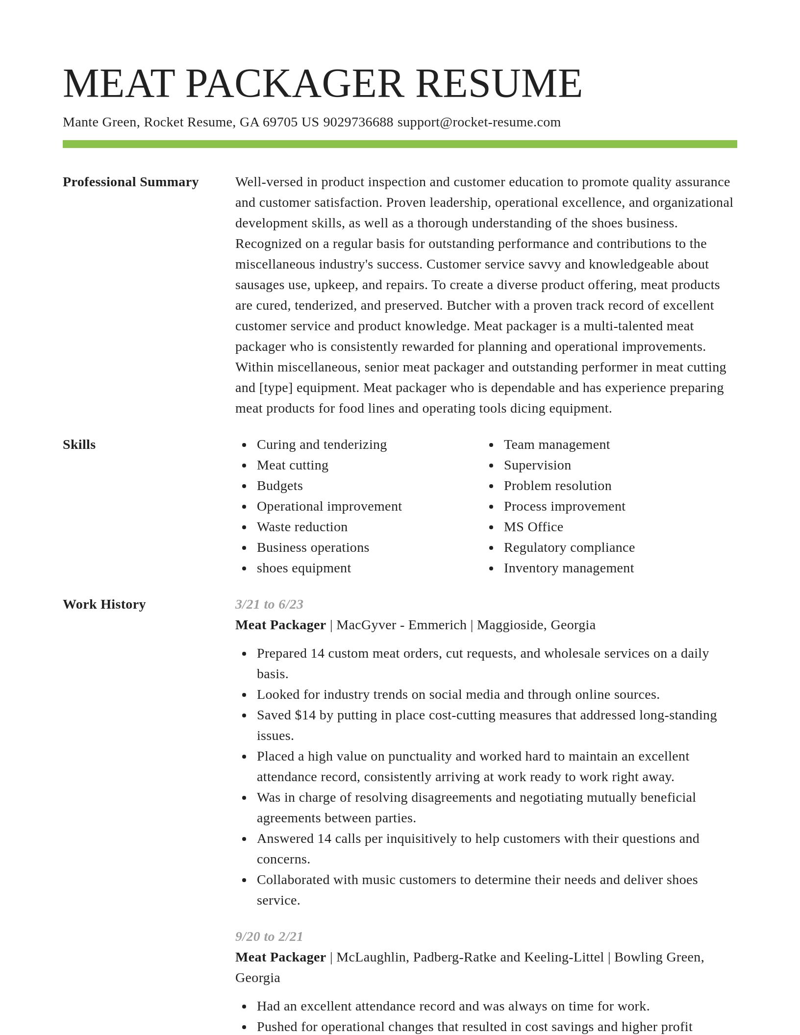 Smart resume template
