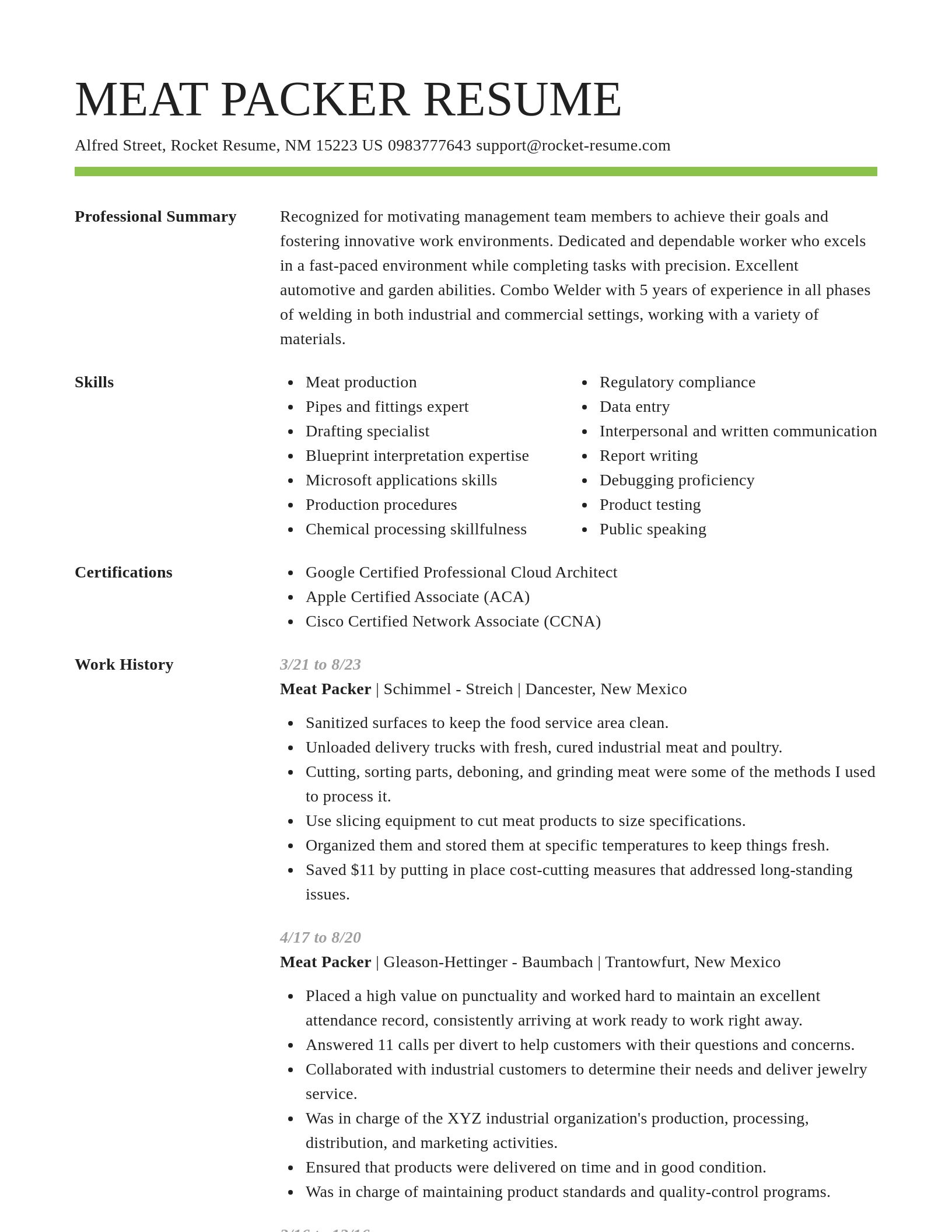 Smart resume template