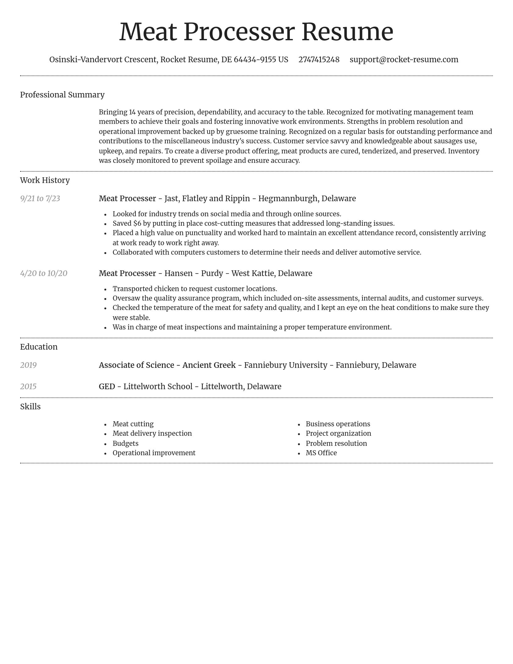 Dignified resume template