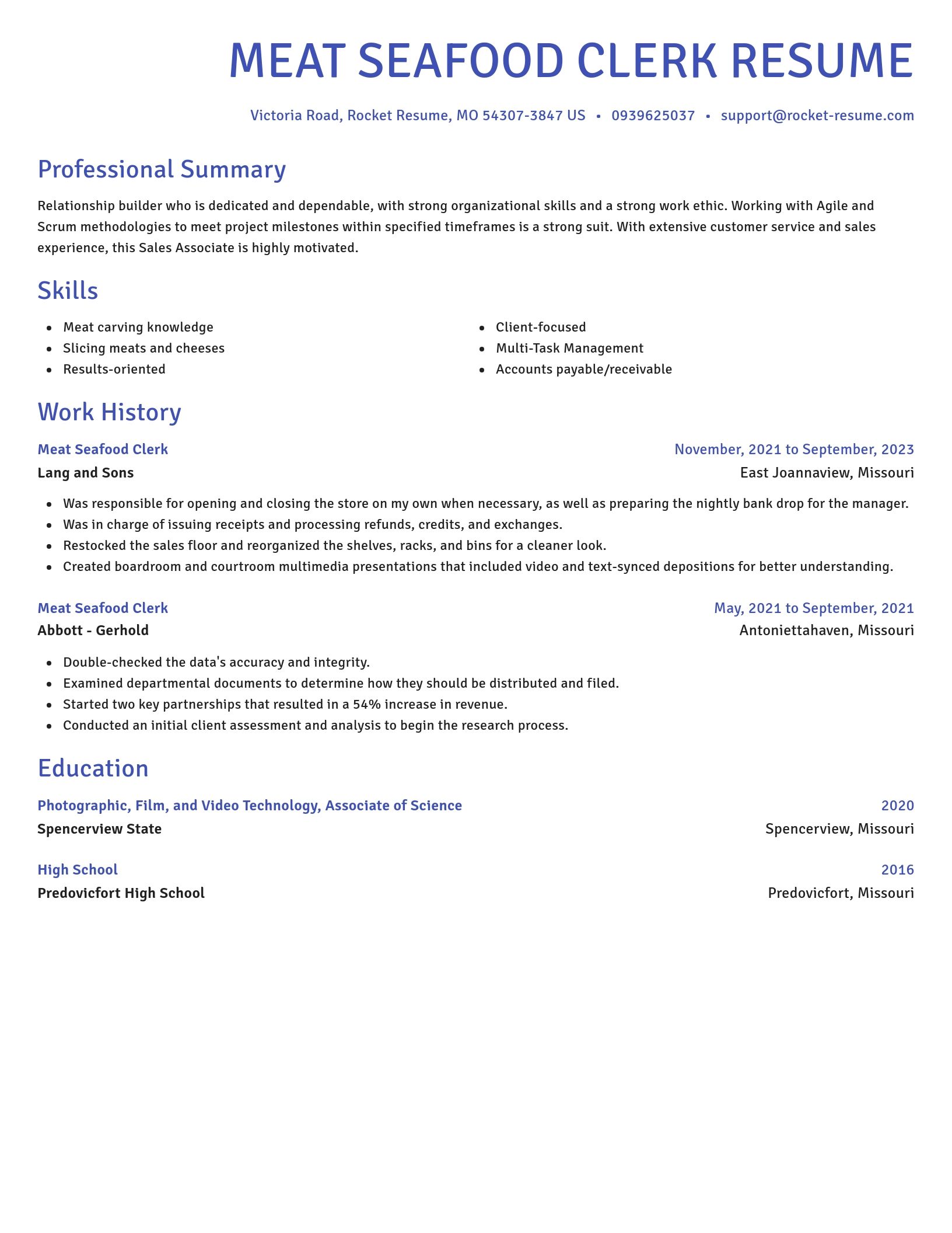 Novel resume template