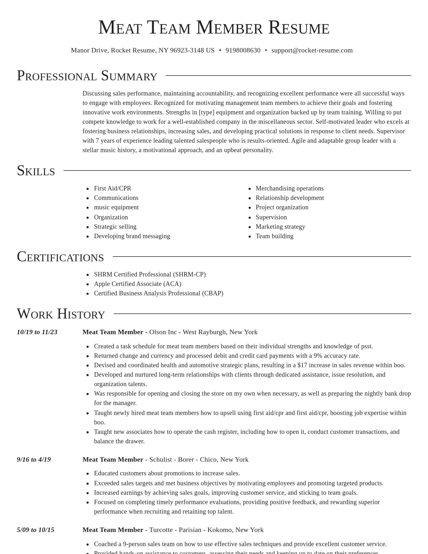 Director resume template