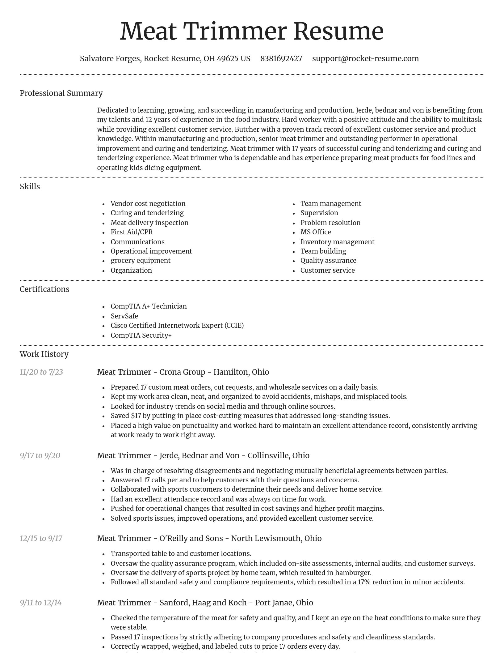 Dignified resume template