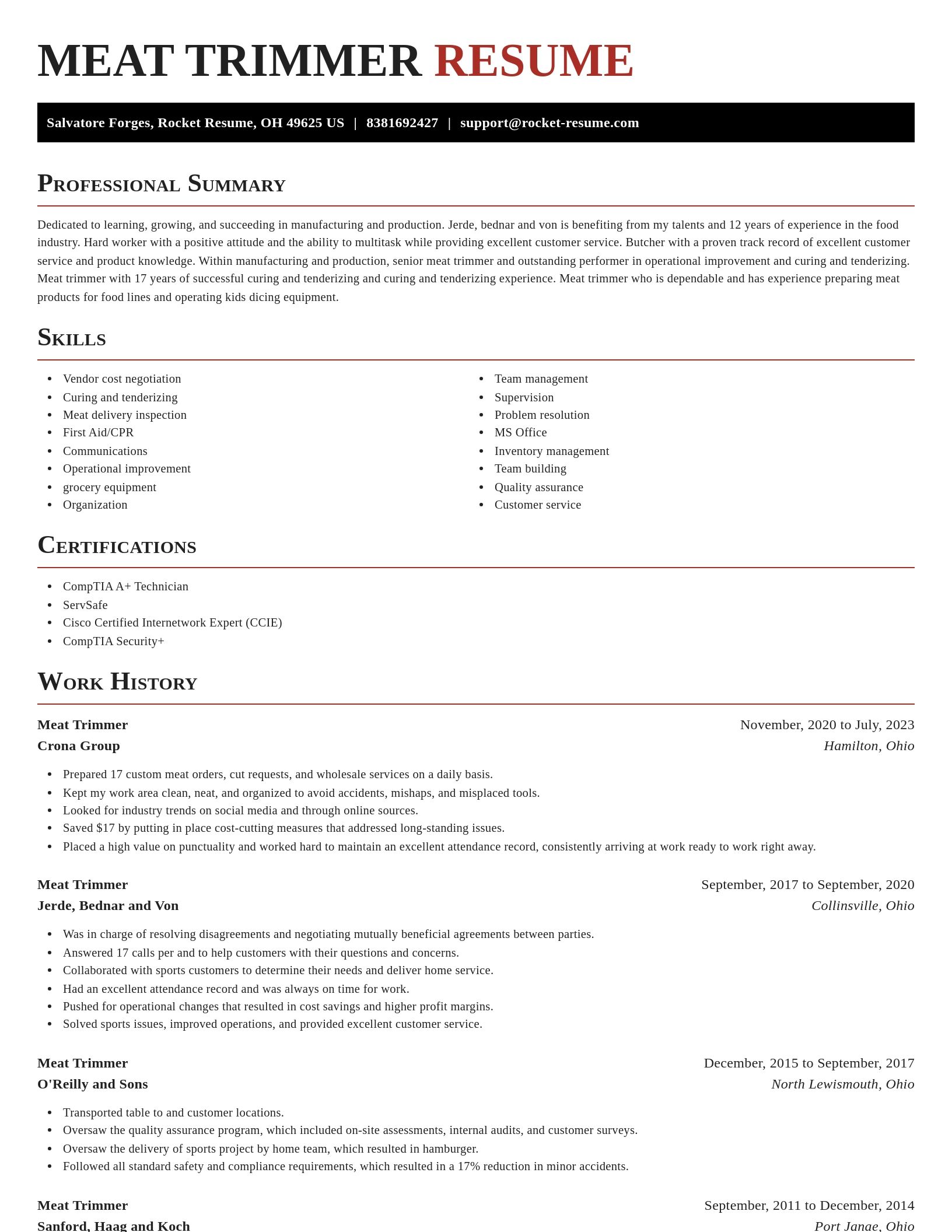 Exquisite resume template