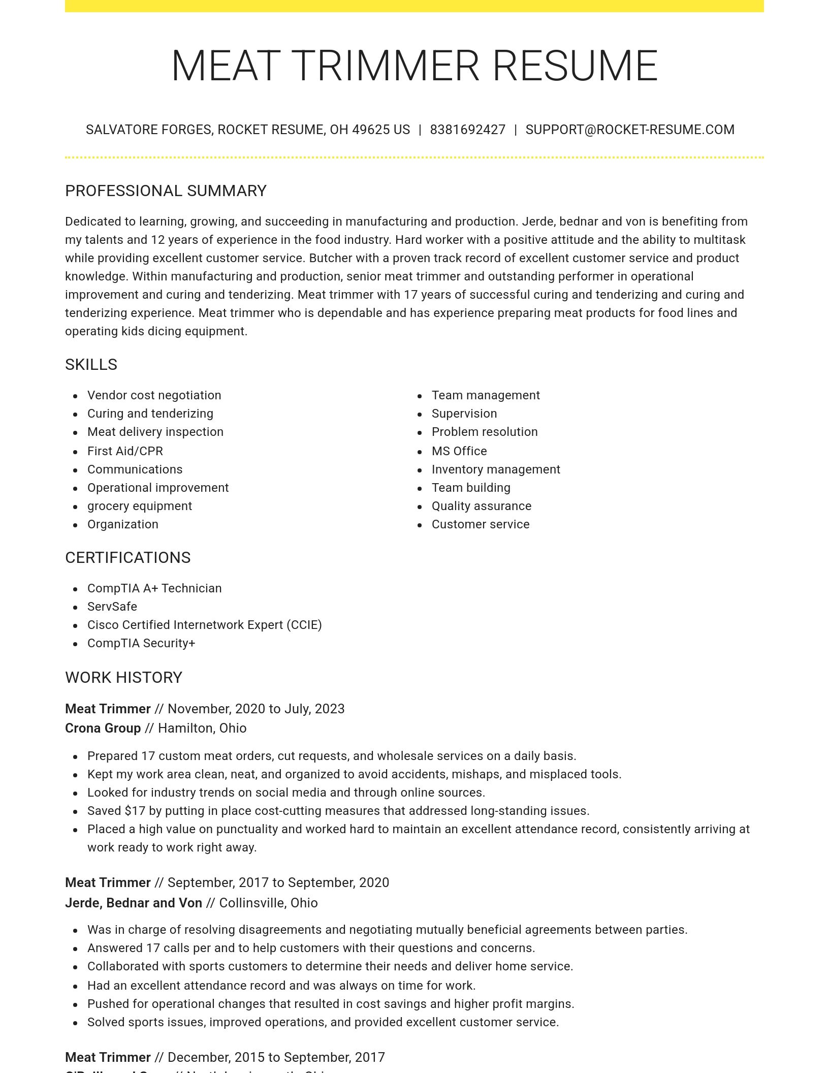 Grand resume template