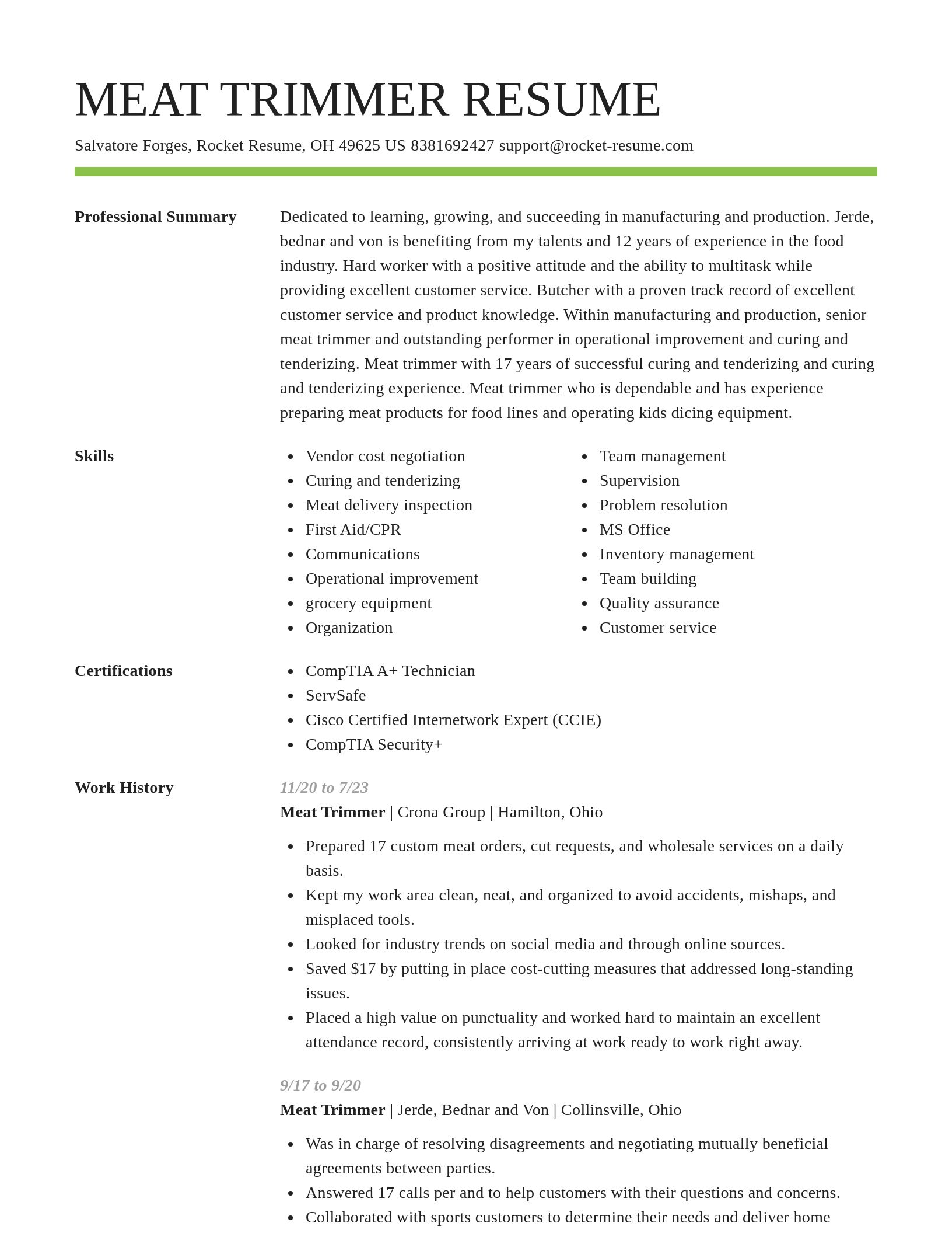 Smart resume template