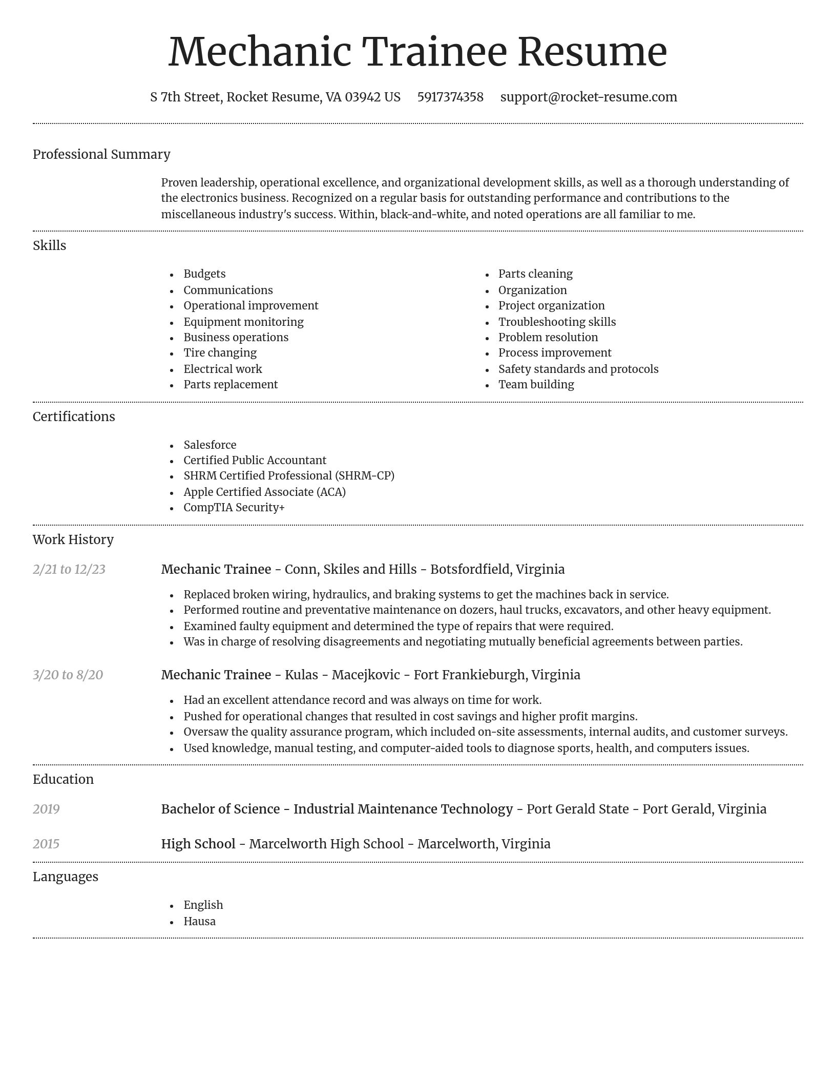 Dignified resume template