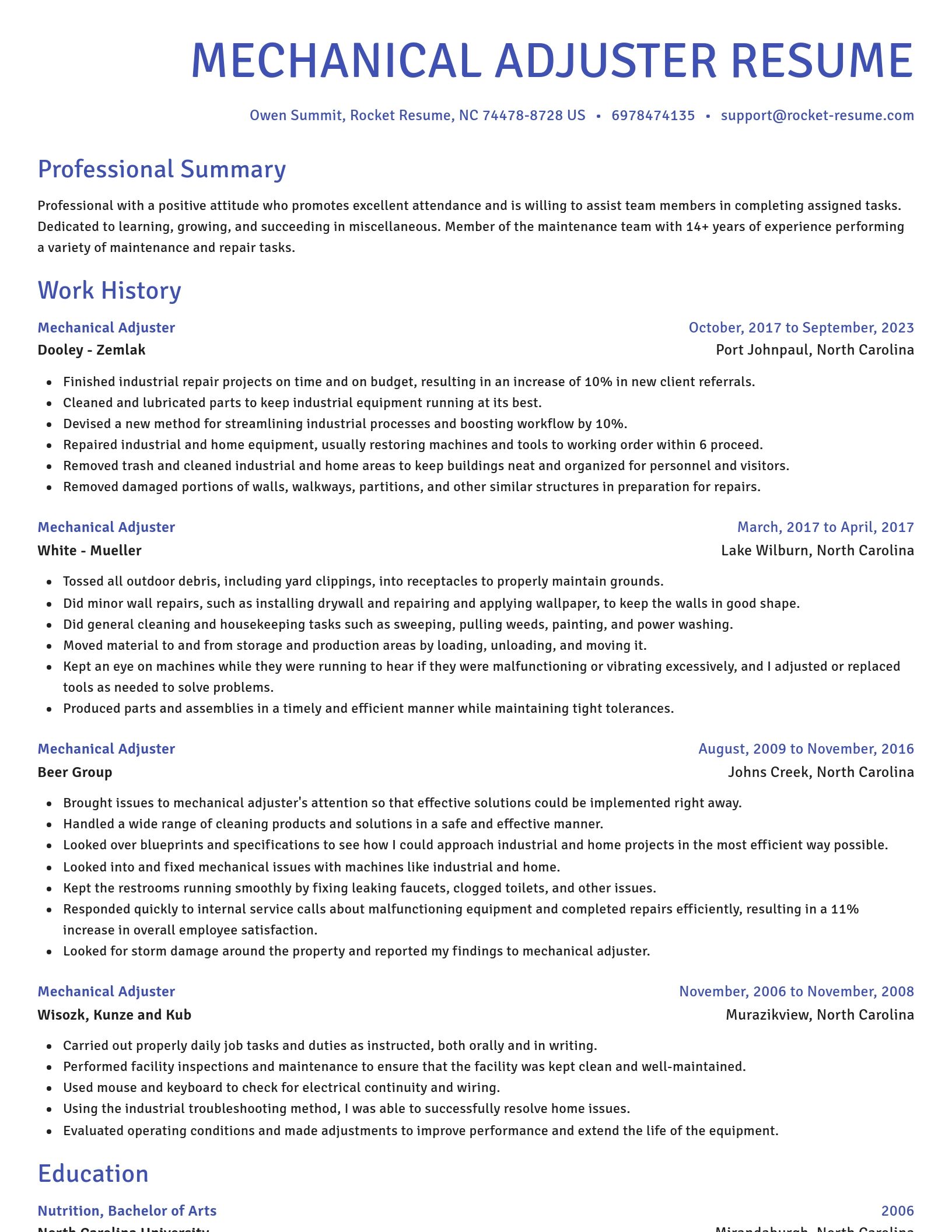 Novel resume template