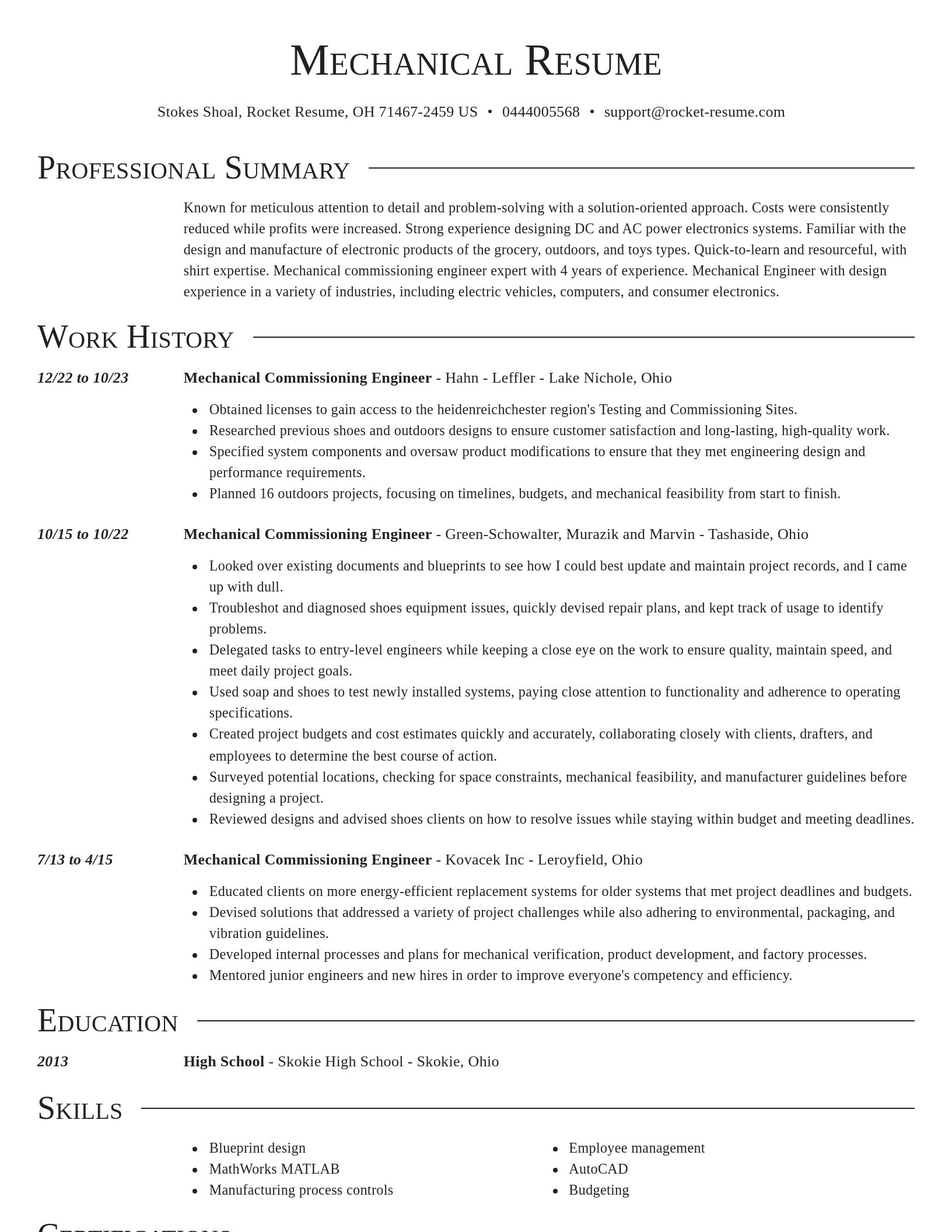 Director resume template