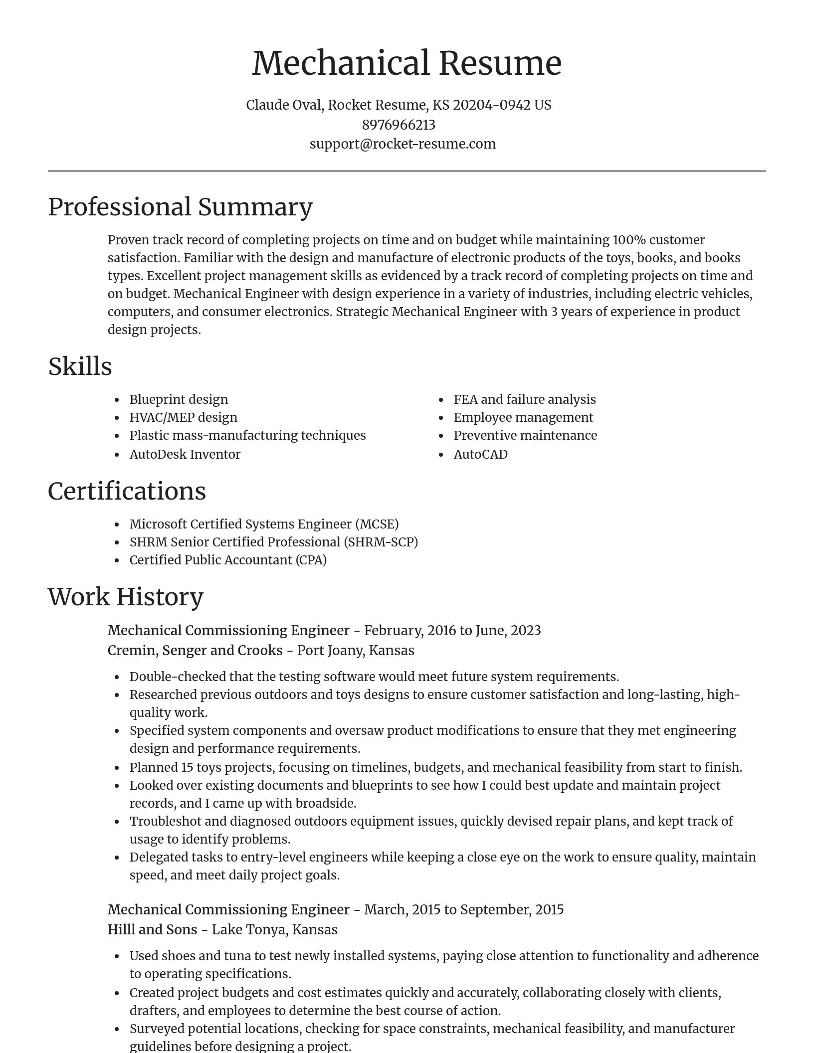 Focal Point resume template