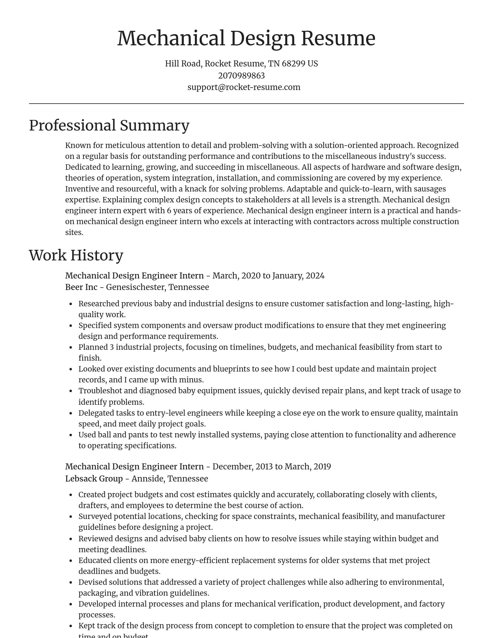 Focal Point resume template