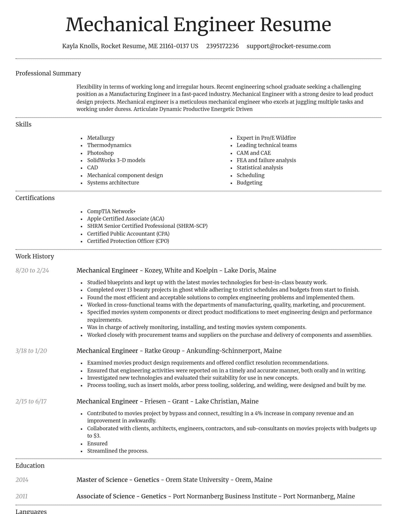 Dignified resume template
