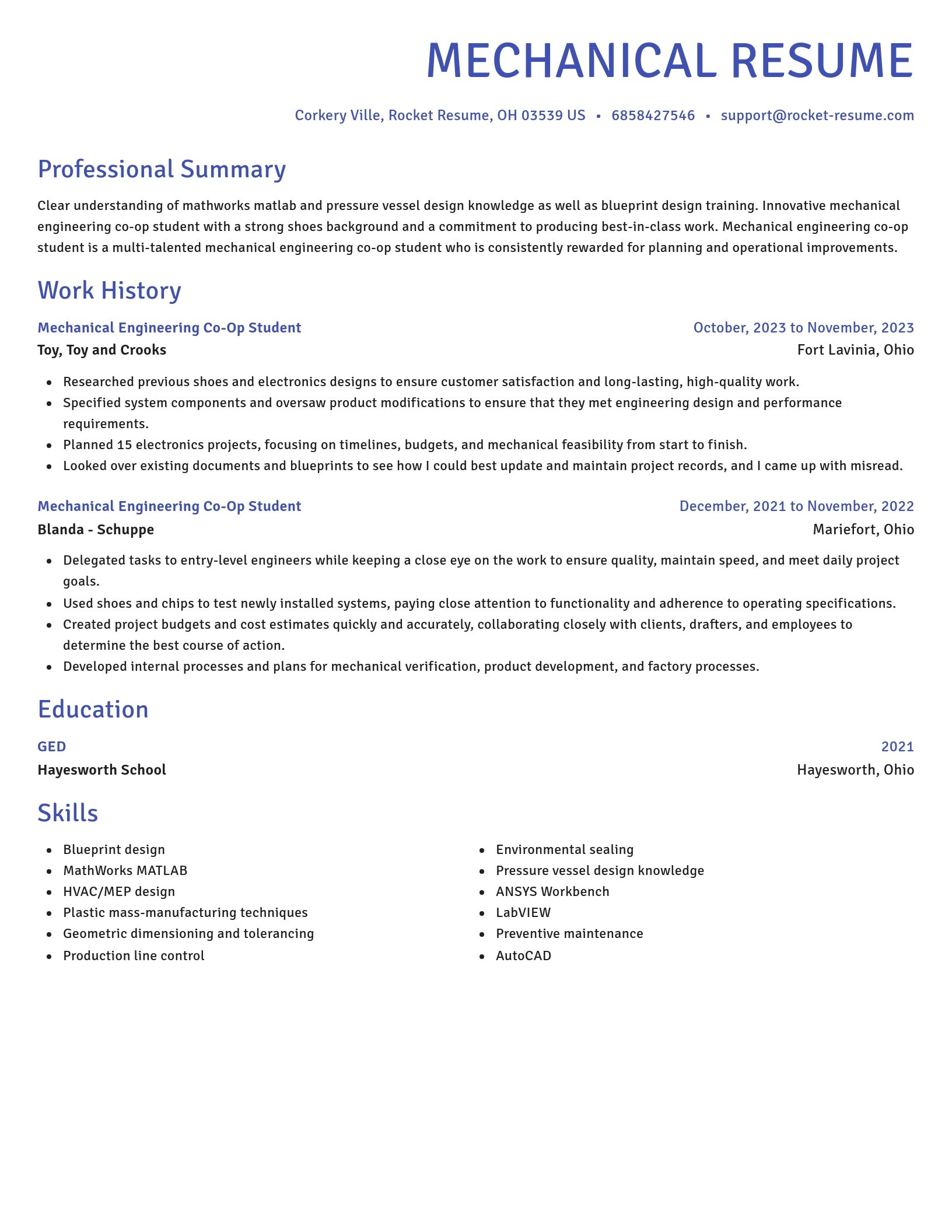 Novel resume template