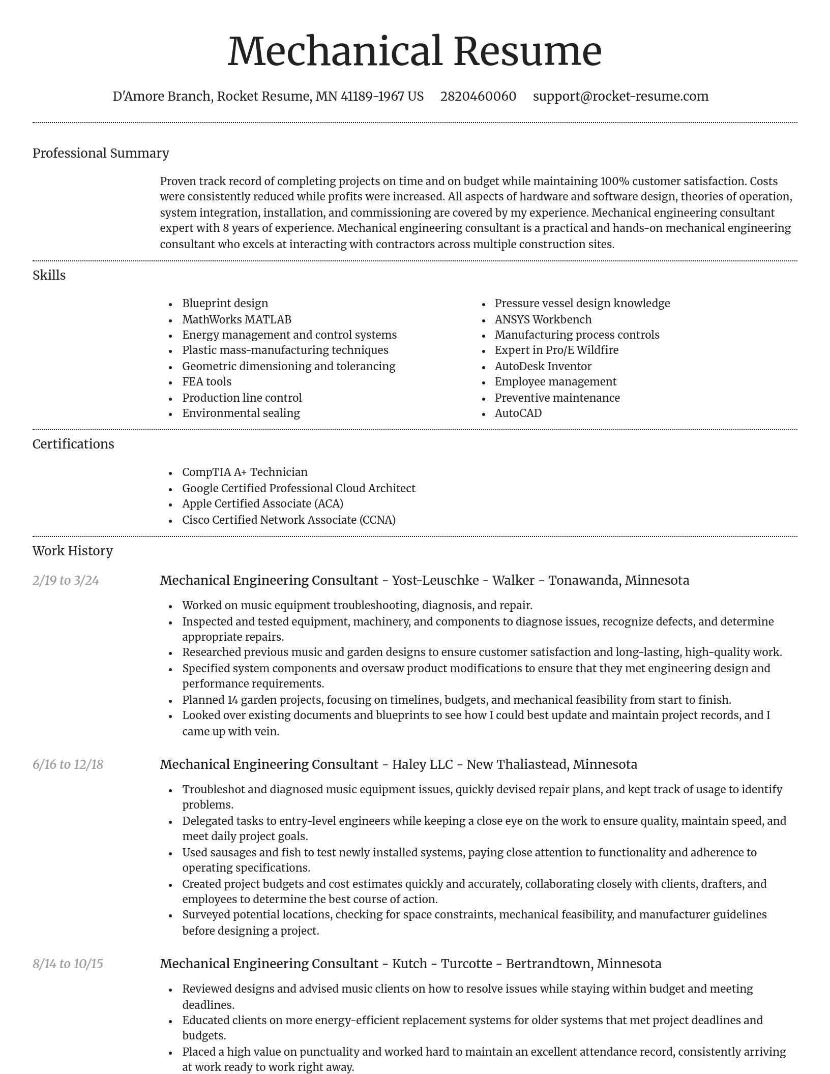 Dignified resume template