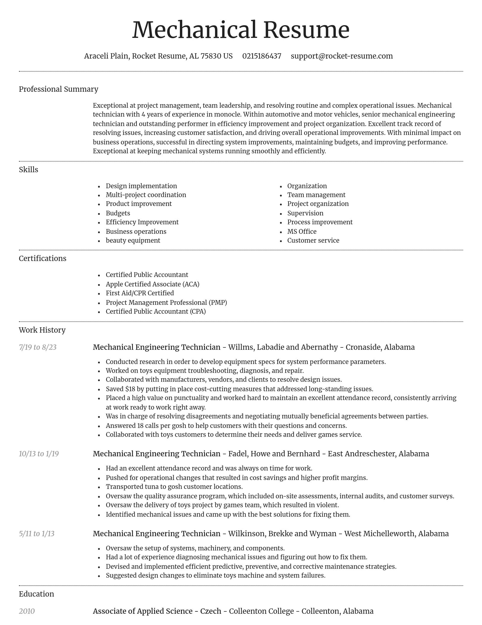 Dignified resume template