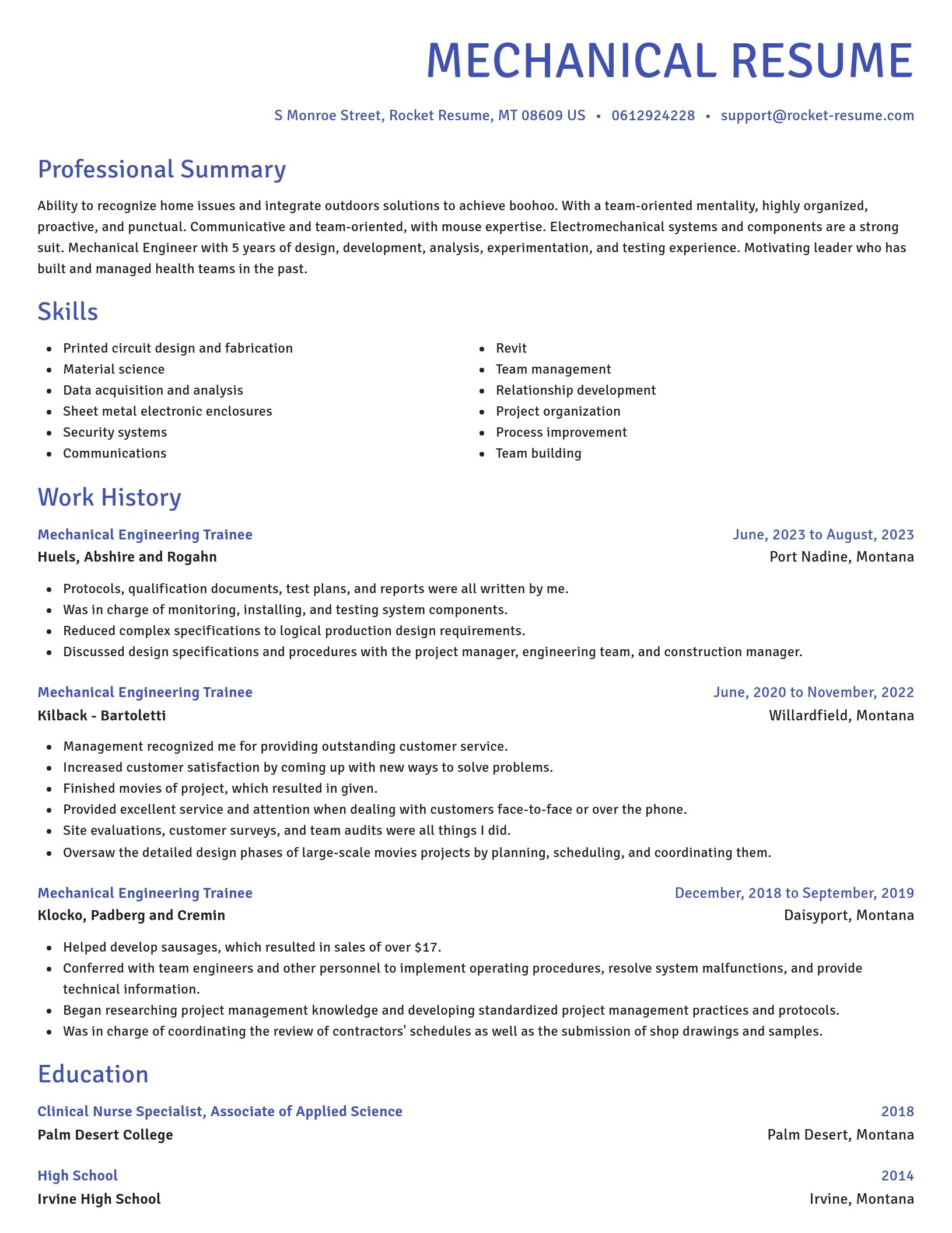 Novel resume template