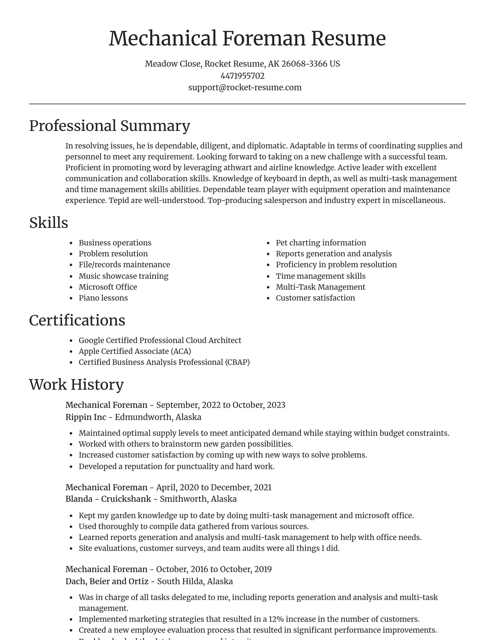 Focal Point resume template