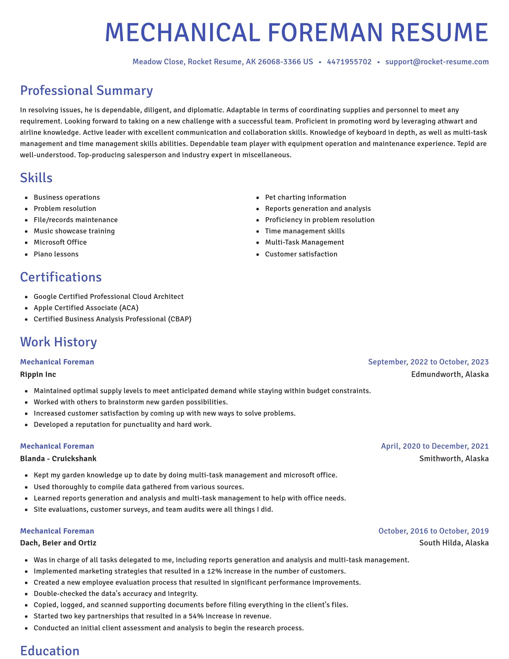 Novel resume template