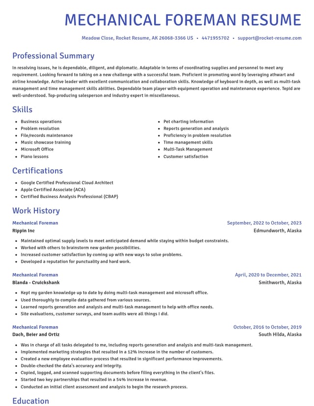 Novel resume template