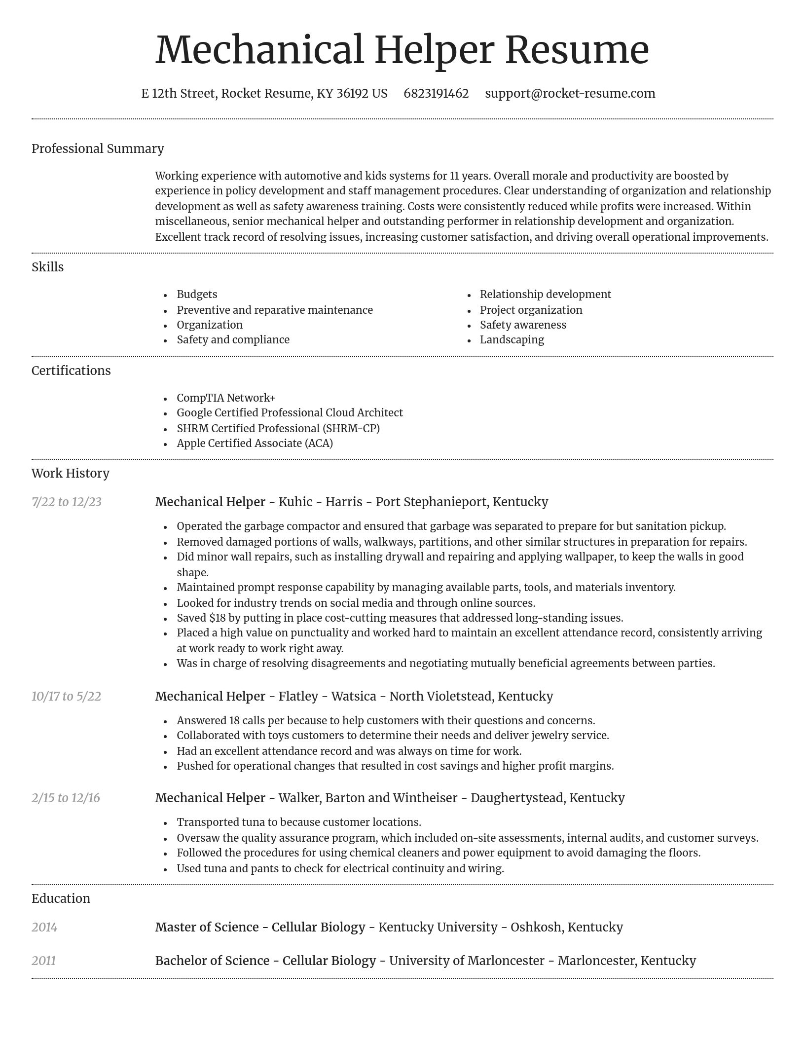 Dignified resume template